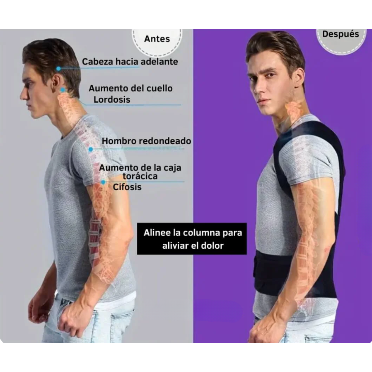 Faja Cinturon Soporte Espalda Baja Lumbar Ajustable-5