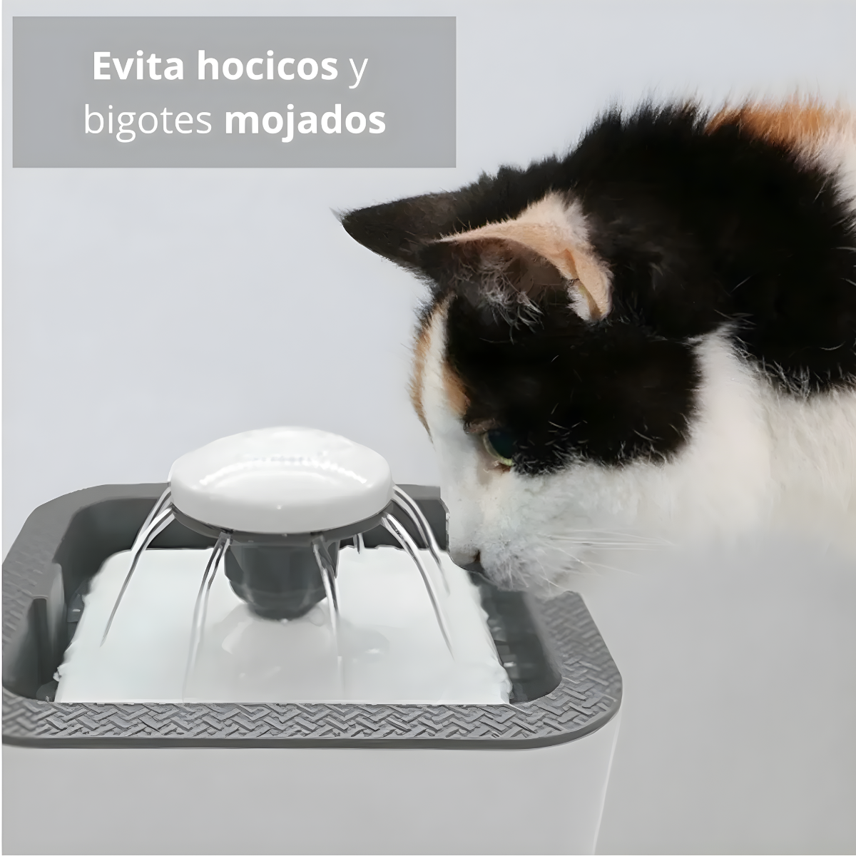 Fuente De Agua Mascotas Perros Gatos 2 5 Litros Automatica-2