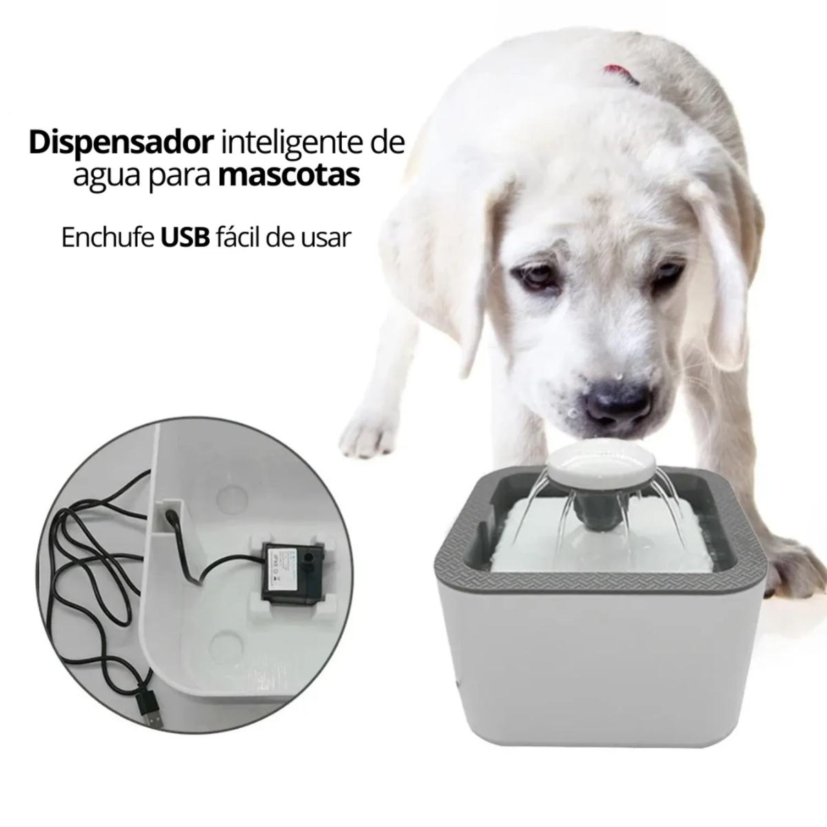 Fuente De Agua Mascotas Perros Gatos 2 5 Litros Automatica-3