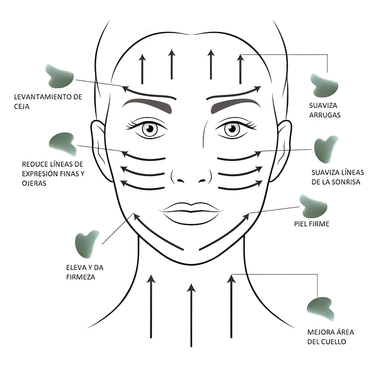 Set Rodillo Facial Jade Gua Sha Masaje Reafirmante Rostro-3