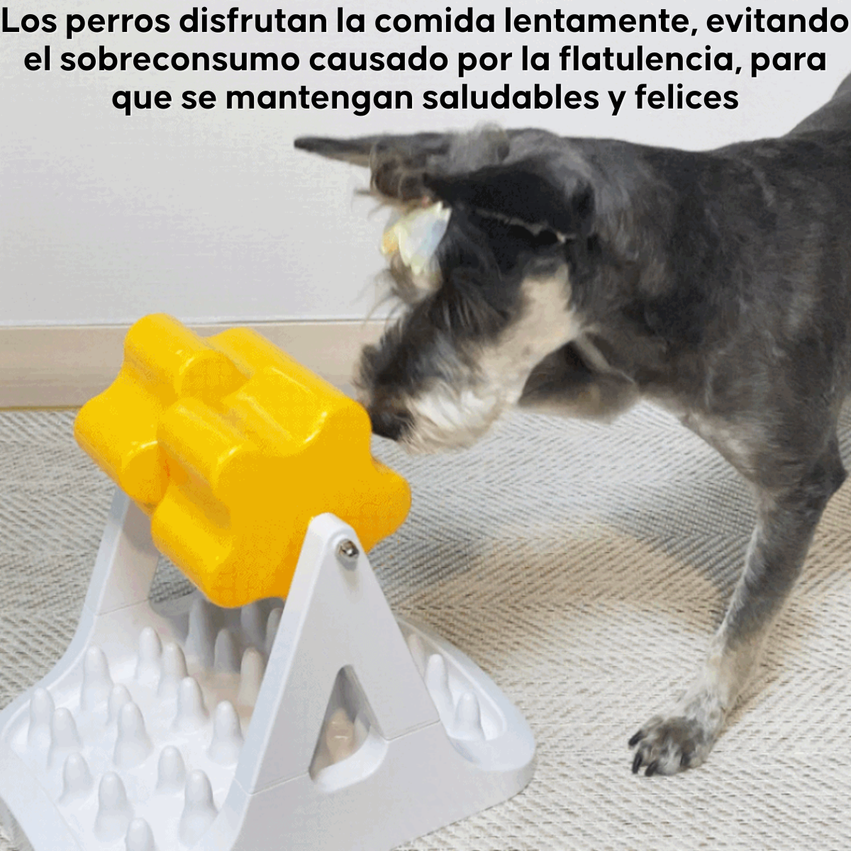 Juguete Comedero Lento E Interactivo Para Perros Iq Training-7