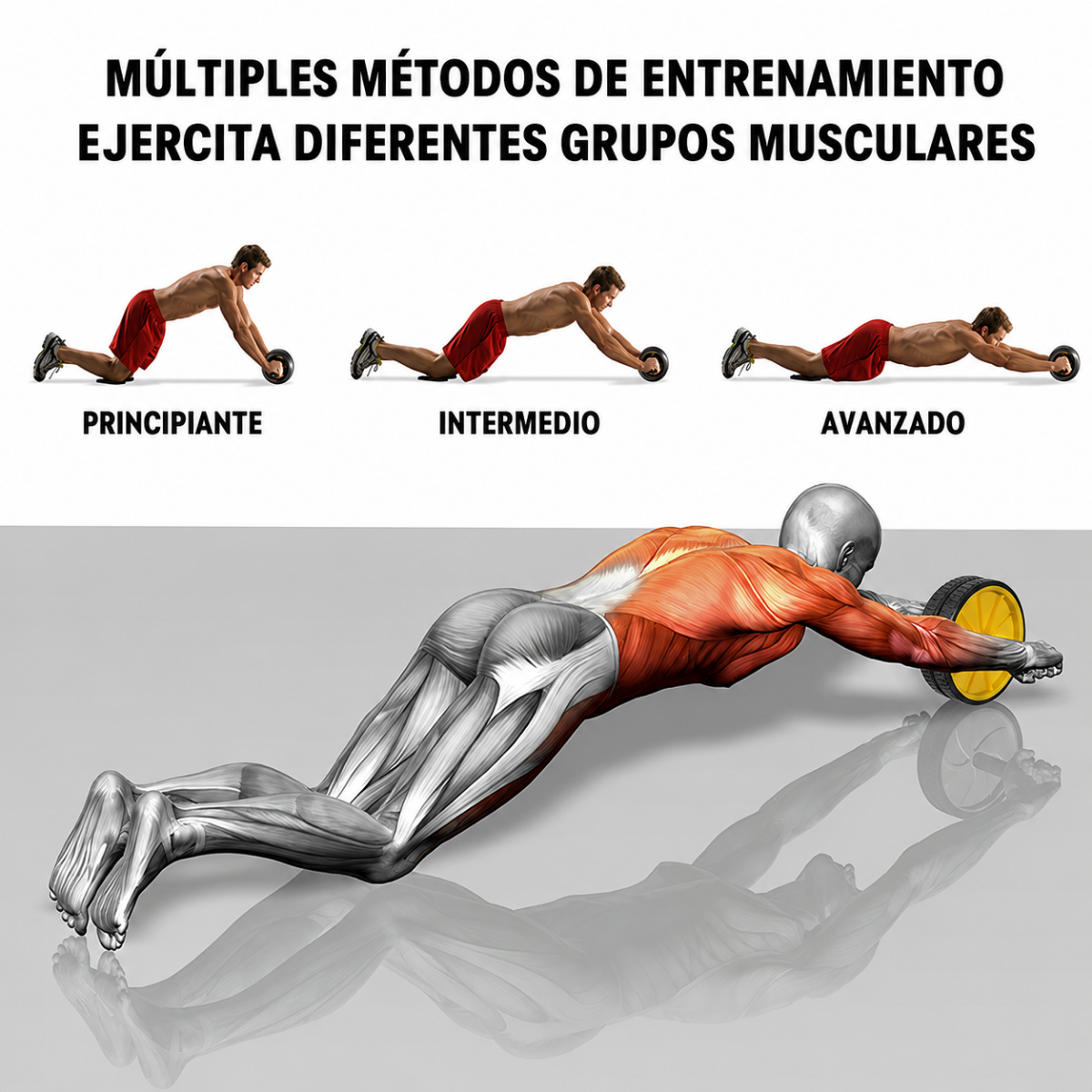 Rueda Abdominal Para Ejercicios De Abdomen Gym-3