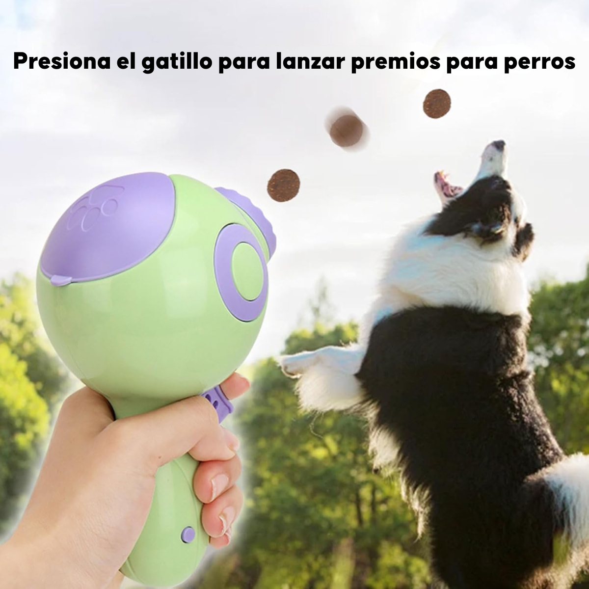 Lanzador De Comida Y Premios Para Perros Con Infrarrojo-4