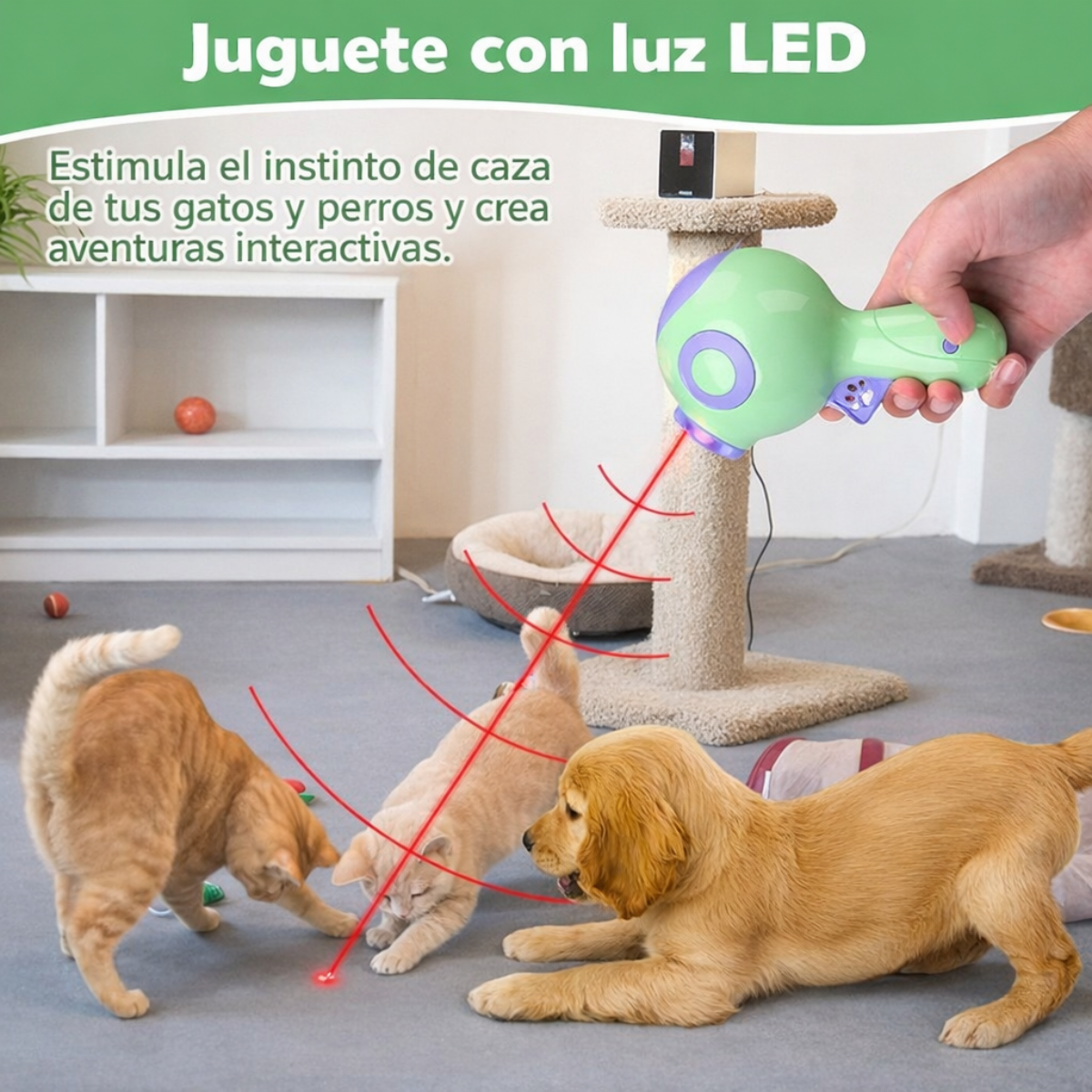 Lanzador De Comida Y Premios Para Perros Con Infrarrojo-5