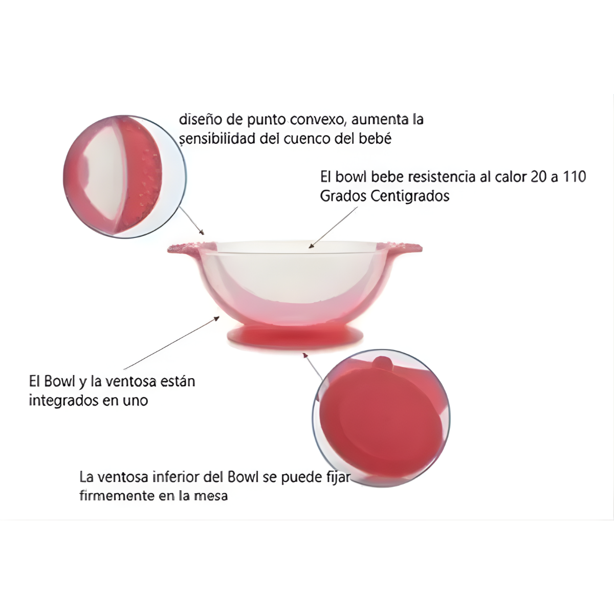 Set Alimentaci n Beb Cuchara Pocillo Con Ventosa Fijaci n Roja-5