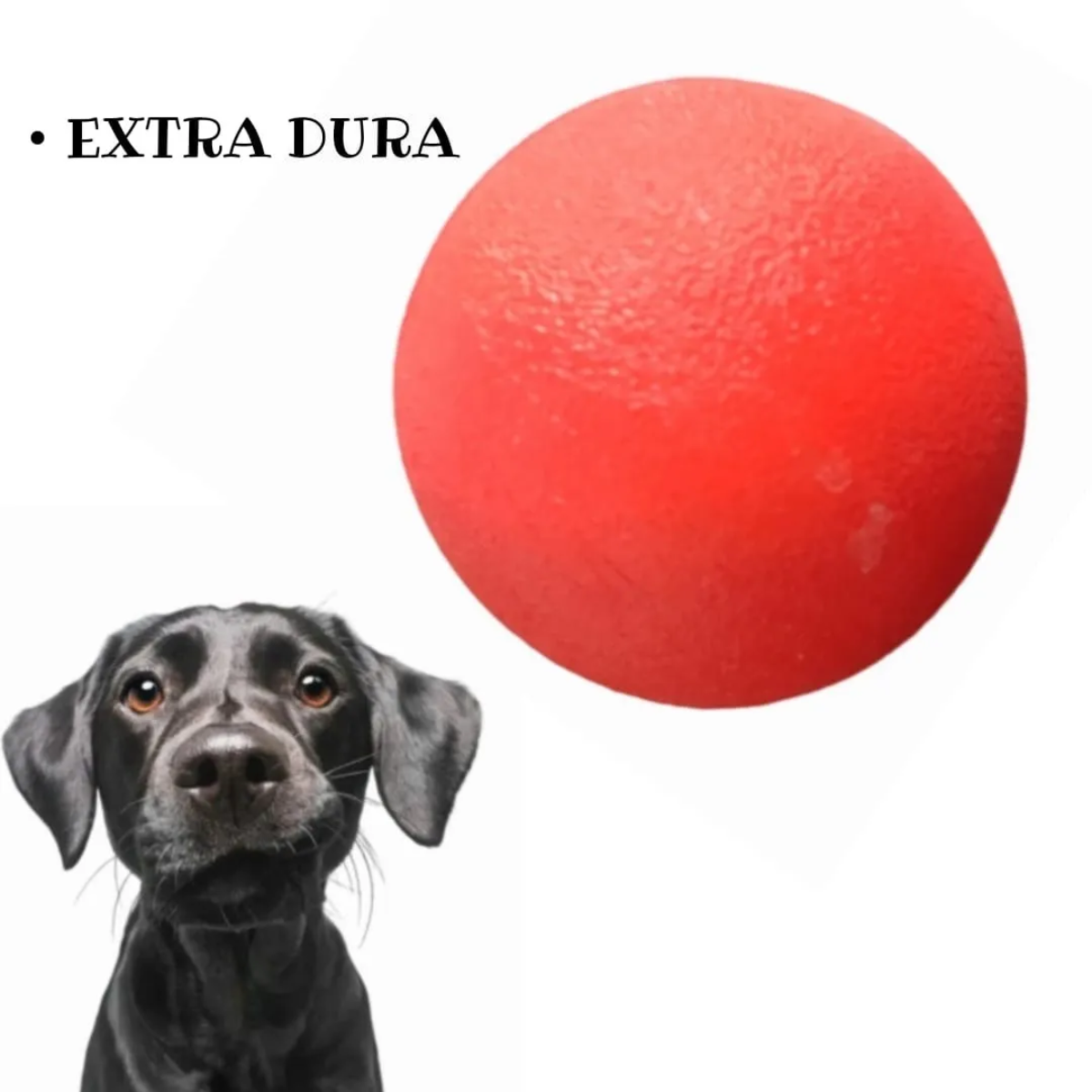 Pack de 3 Pelotas Juego Con Rebote Mascotas Gatos Perros-3