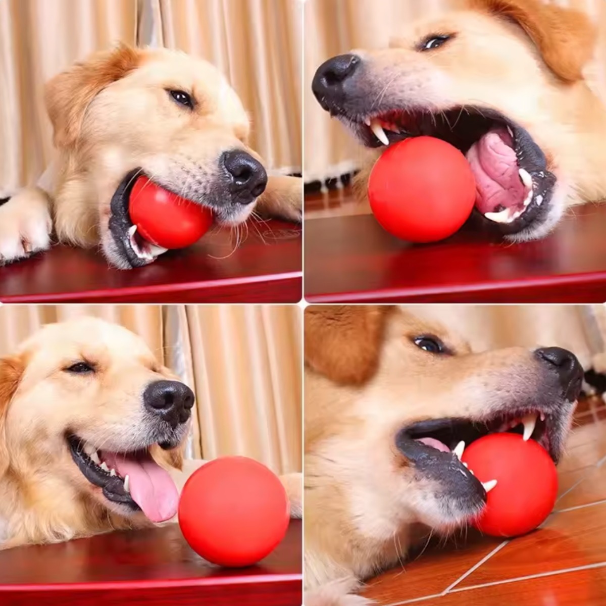 Pack de 3 Pelotas Juego Con Rebote Mascotas Gatos Perros-4