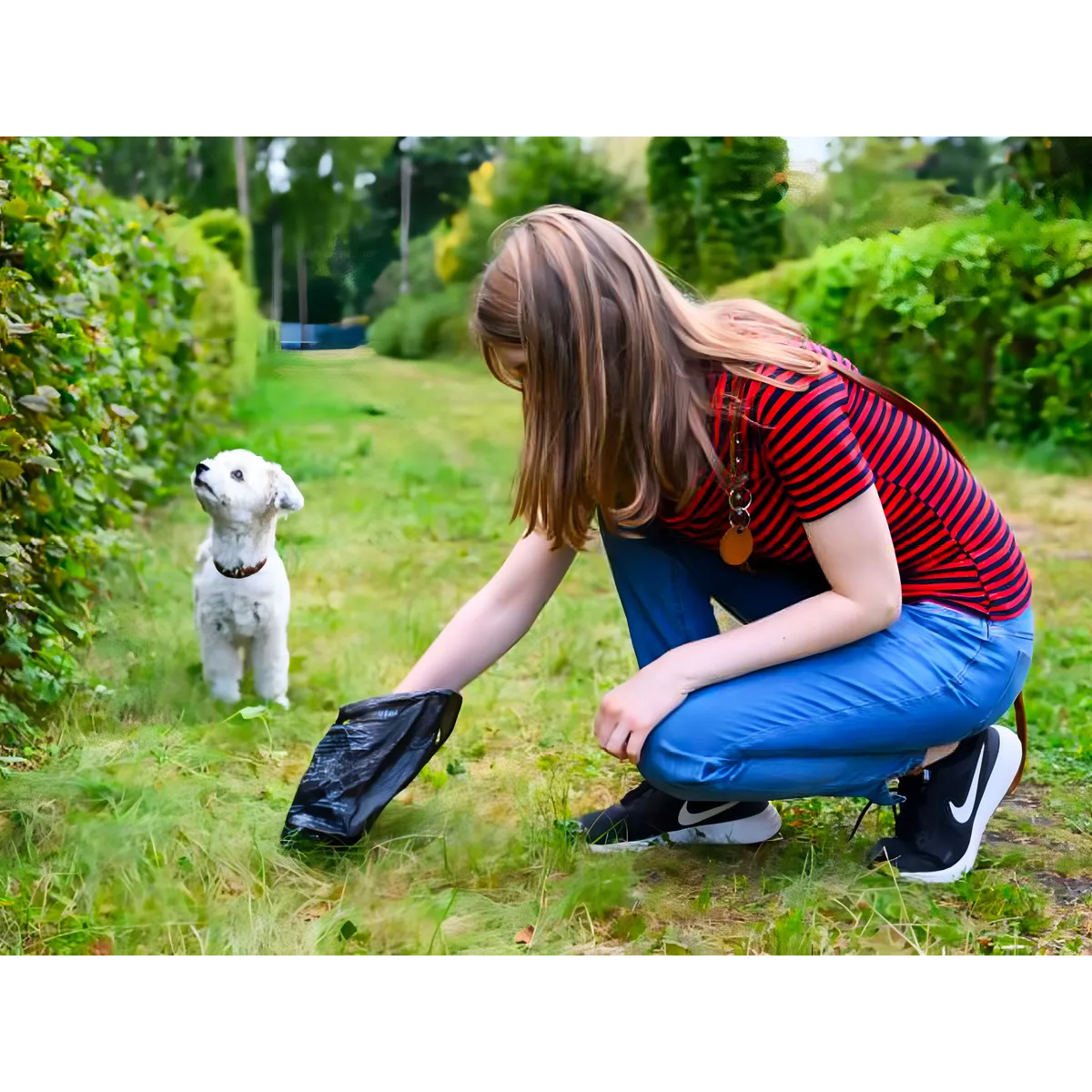 Pack 12 Rollos Bolsas Para Desecho Mascotas Dise o Huellas-5