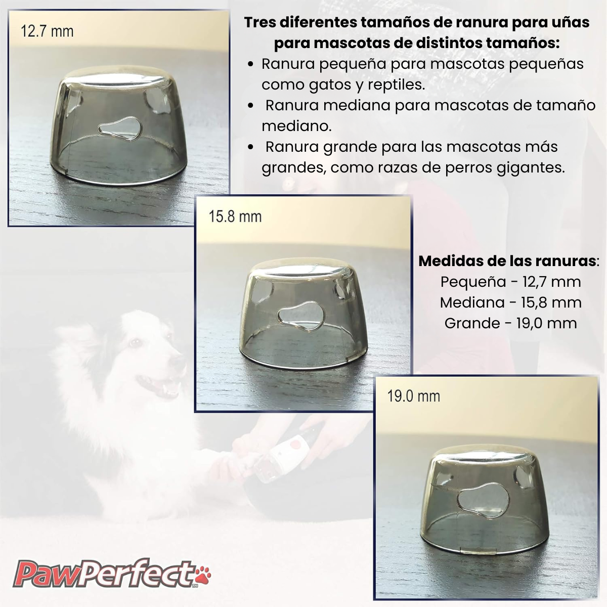 Lima Cortador U as Electrica Para Mascotas Con Luz Led-4