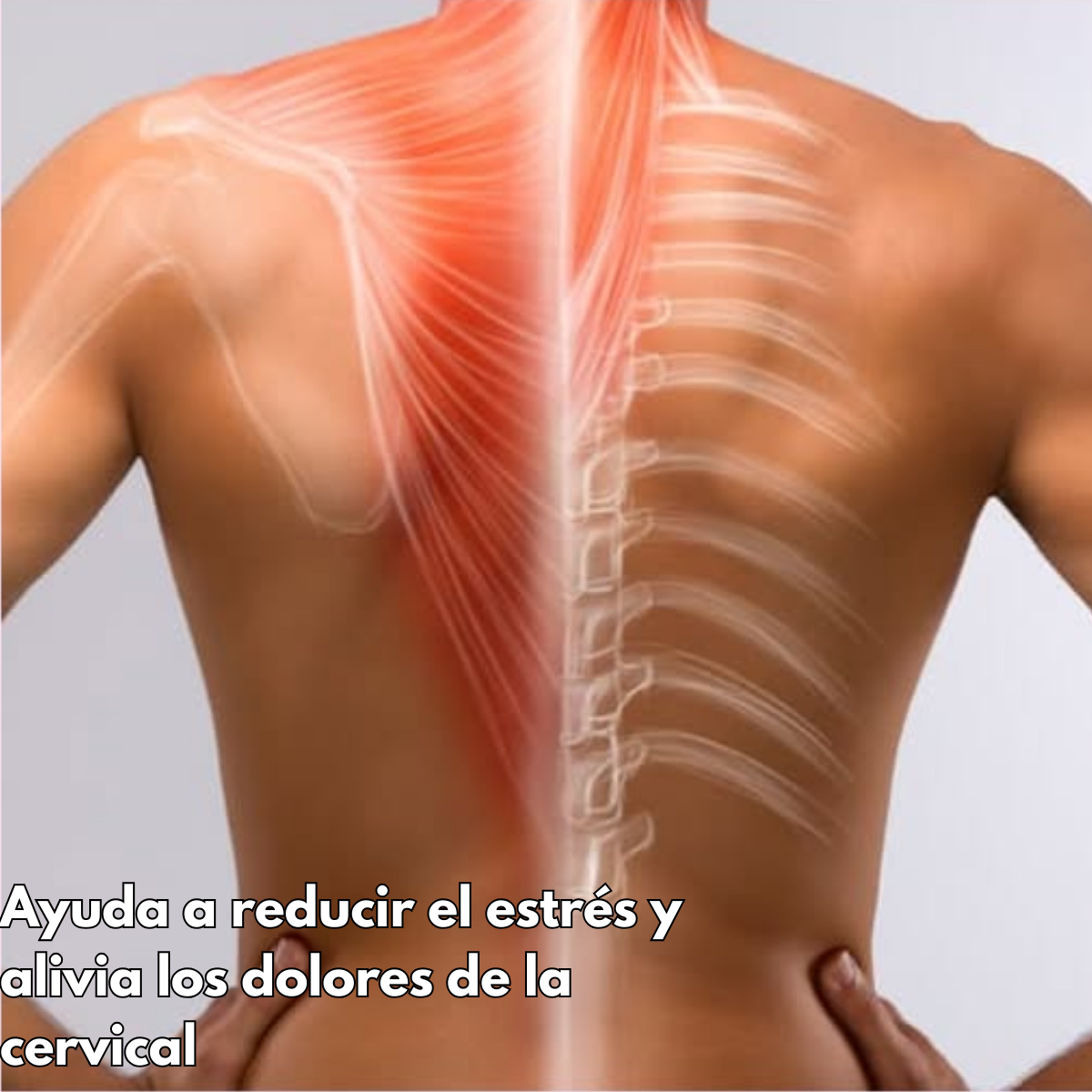 Pack 10 Unidades Parche Adhesivo Para Zona Cervical-2