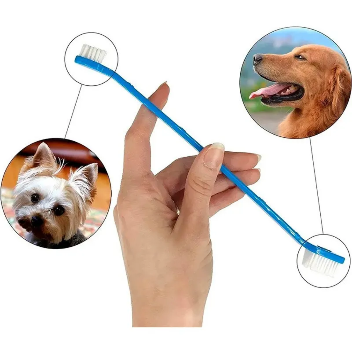 Kit Dental Para Mascotas Pasta De Dientes Y 3 Cepillos-3