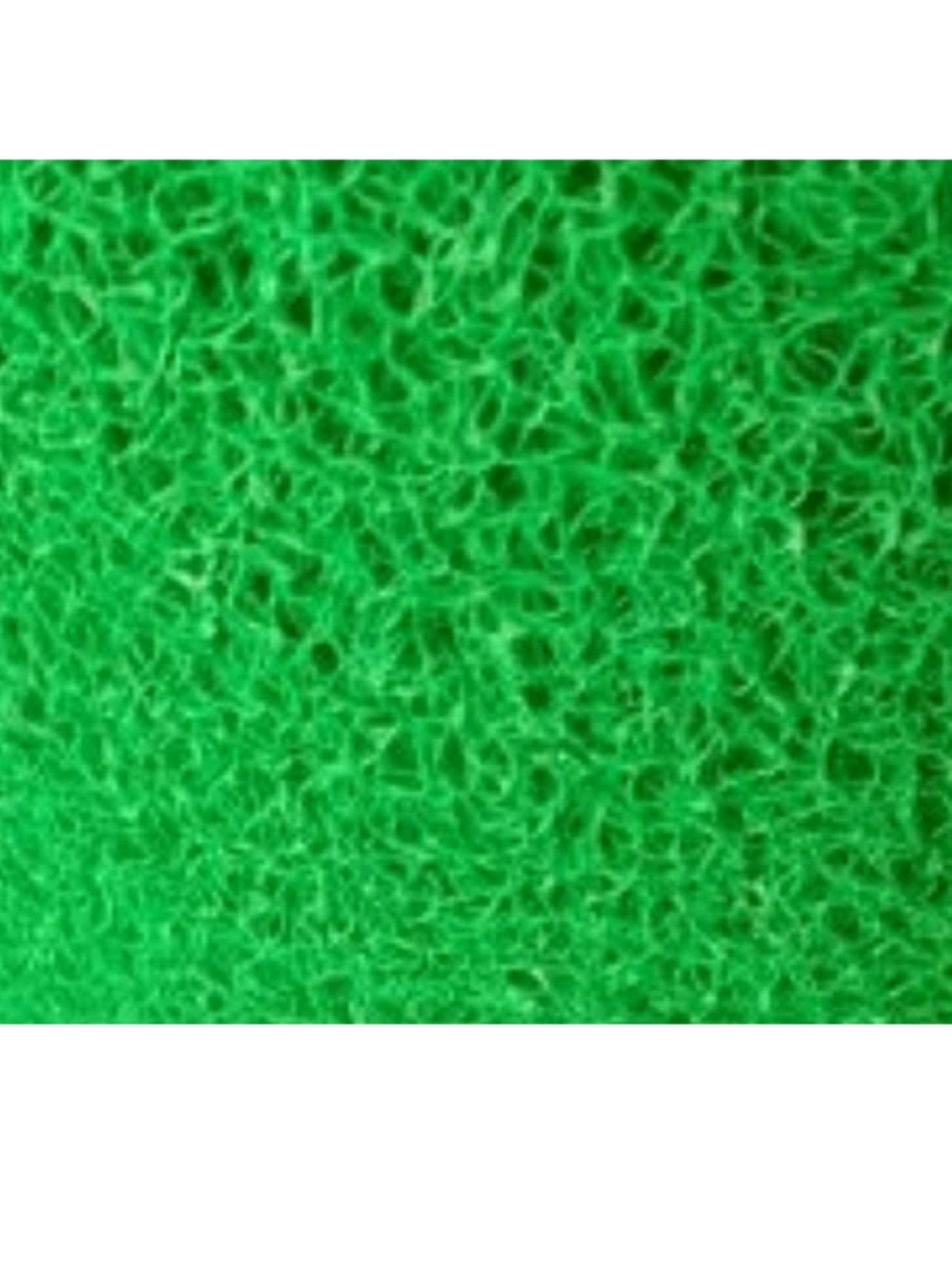 Alfombra Limpiapie PVC Tipo Nomad Verde 1,20 m ancho x 12 mm espesor x 1 m-1