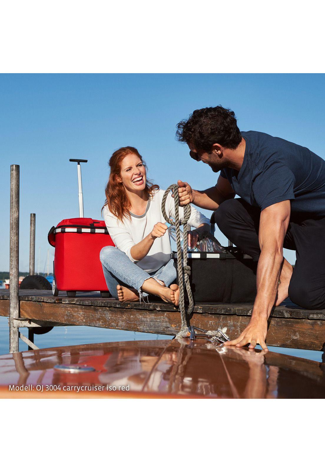 Carro Compras Cooler premium Carrycruiser - twist silver-3