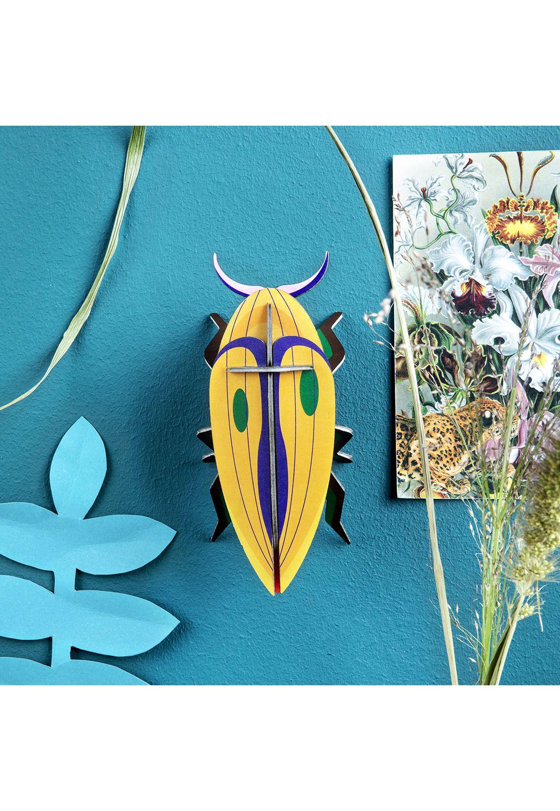 Pequeño Insecto - Click Beetle-1