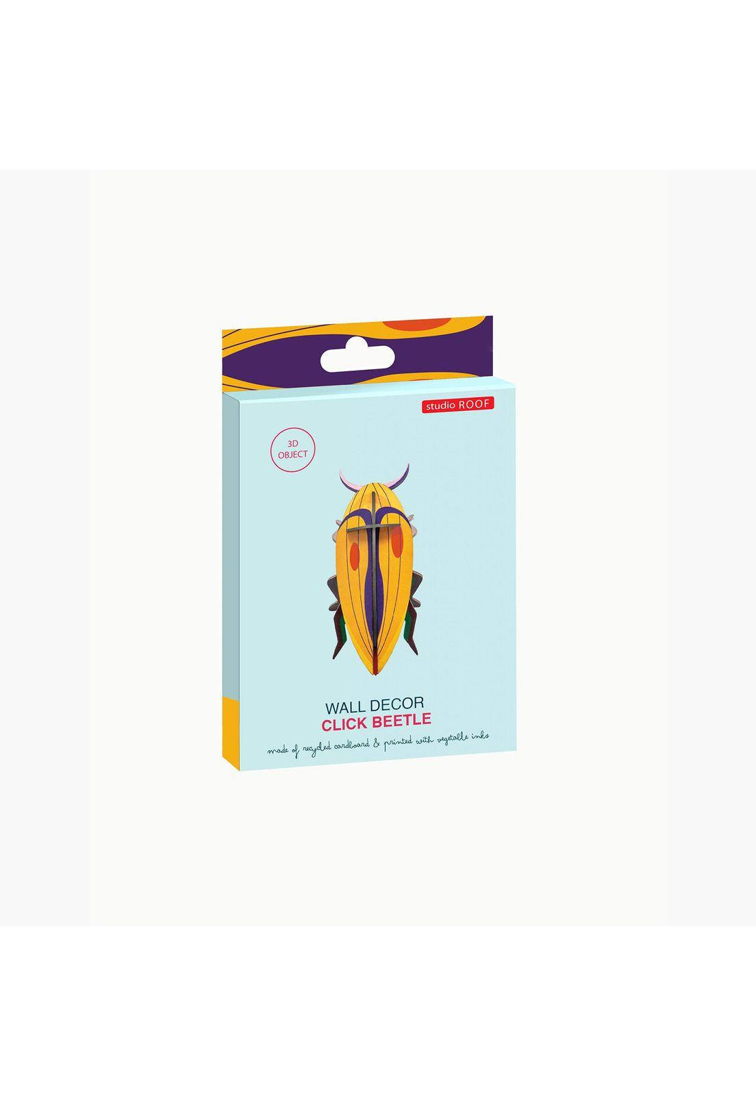 Pequeño Insecto - Click Beetle-3