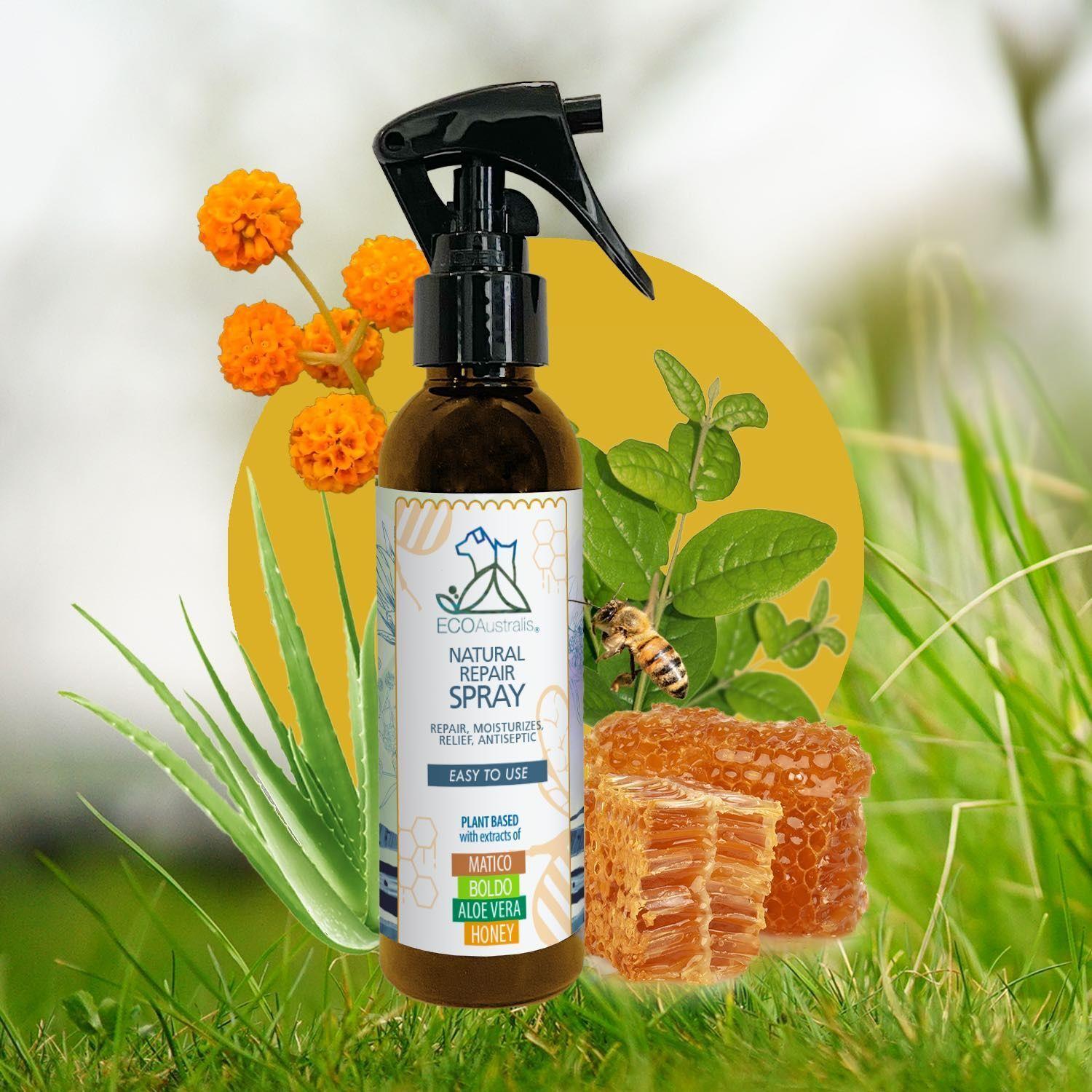 Spray Reparador Base Matico, Boldo, Aloe Vera y MIEL 135 Ml-2