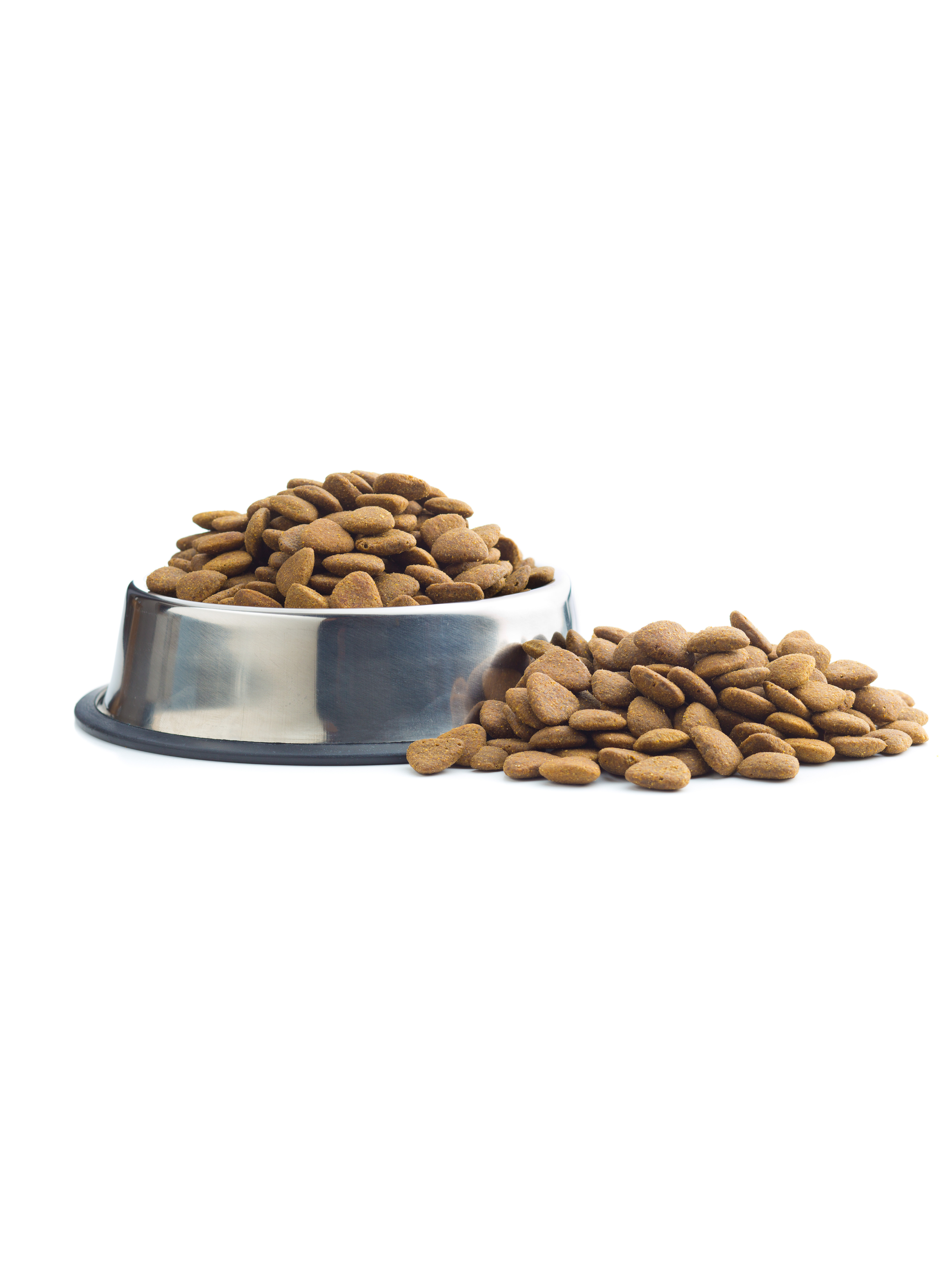 Alimento de Perros Maggie´s Care Black Series Ultra Premium 3 KG-1