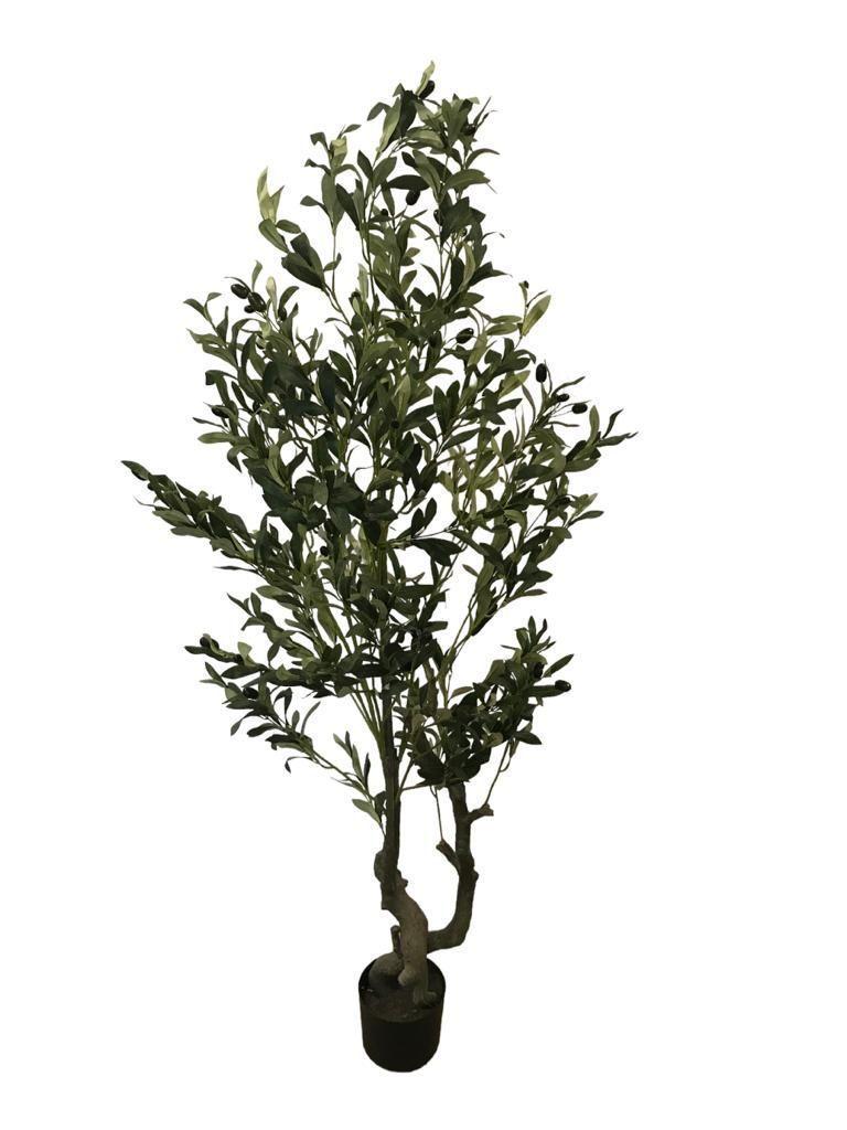 Planta Artificial Olivo 180 cm -0