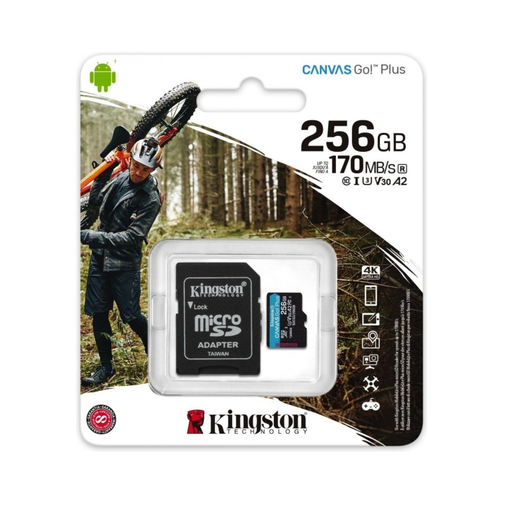 Memoria MicroSD 256GB Canvas Go Plus SDCG3/256GB-1