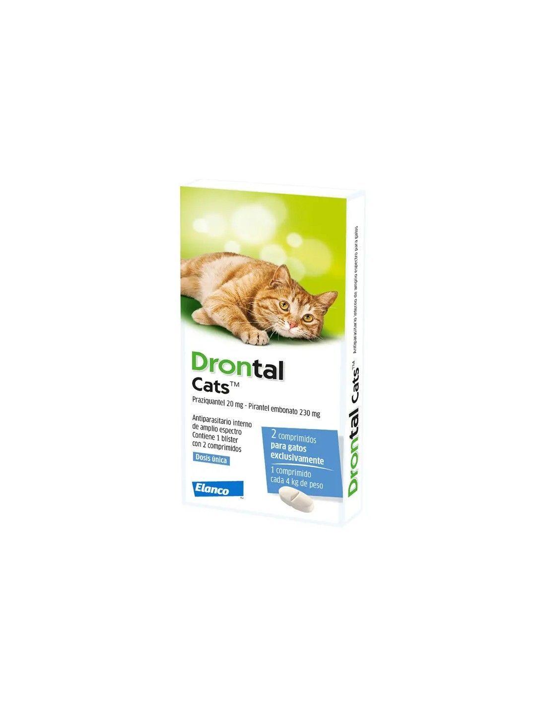 DRONTAL GATO 20ML-0