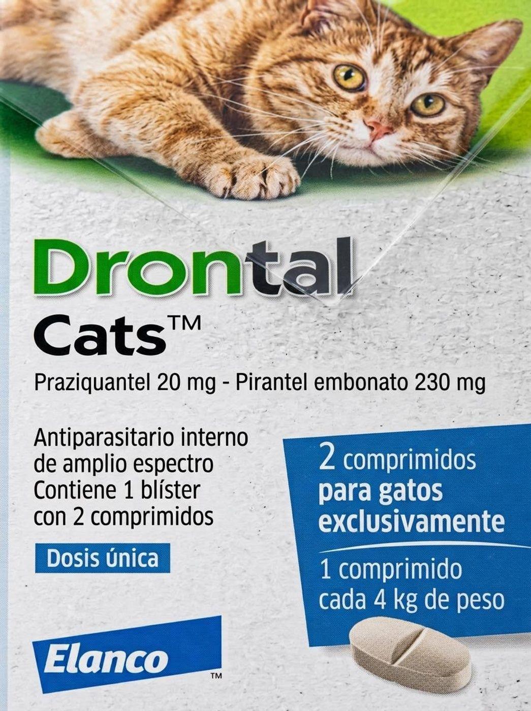 DRONTAL GATO 20ML-2