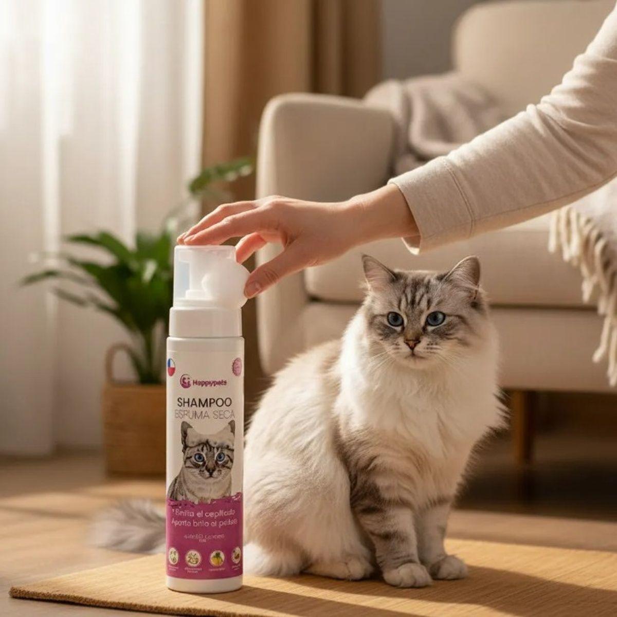 Shampoo Gatos Espuma Seca Hipoalergenico 280 Cc Aroma Limon-2