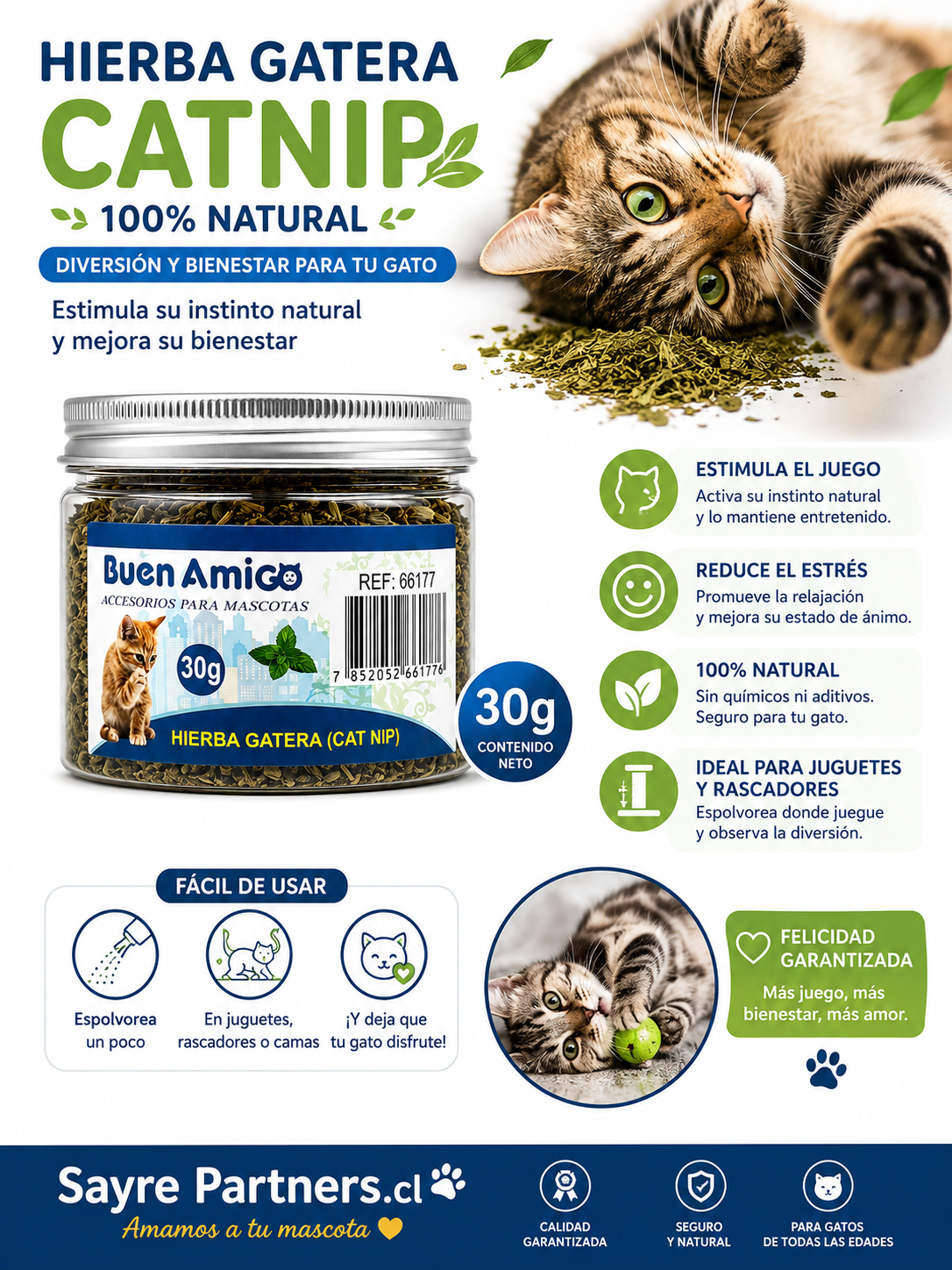 Hierba Gatera Seca Catnip 30 Gr-3