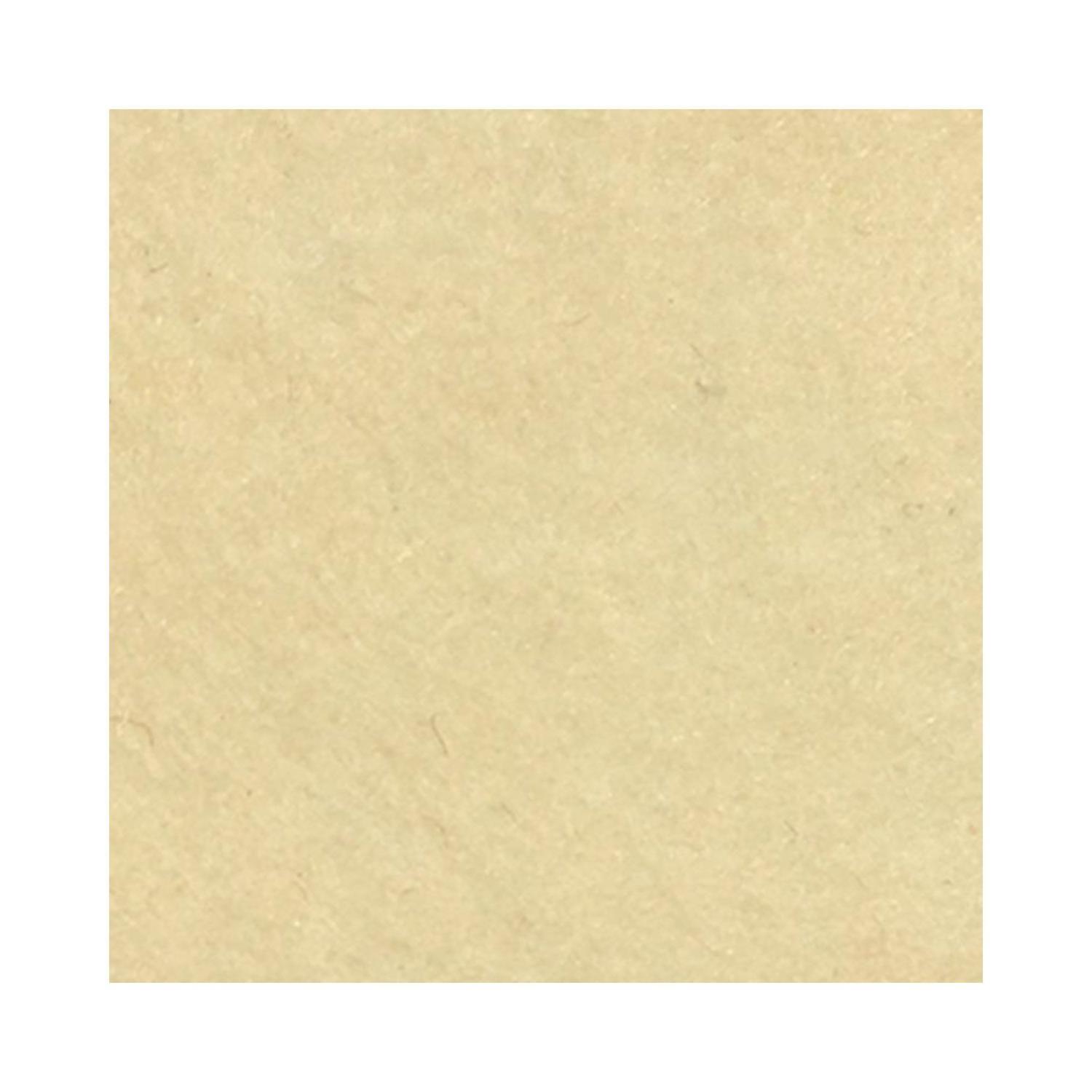PAÑOLENCI BEIGE 20X30CM X 1.8MM 10 UNIDADES.-1