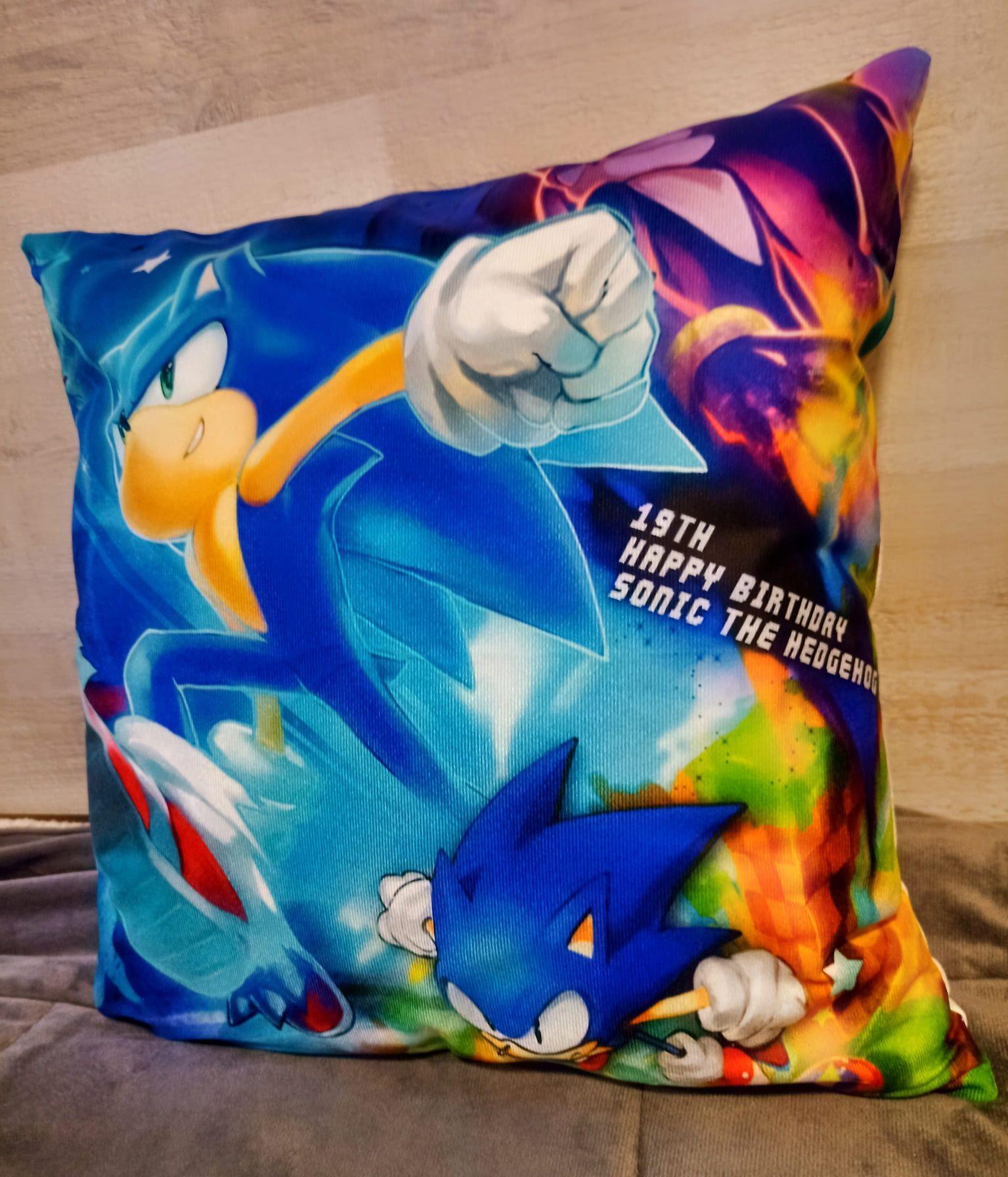Cojín Felpa 45x45 cm Erizo Azul Extra Suave -3