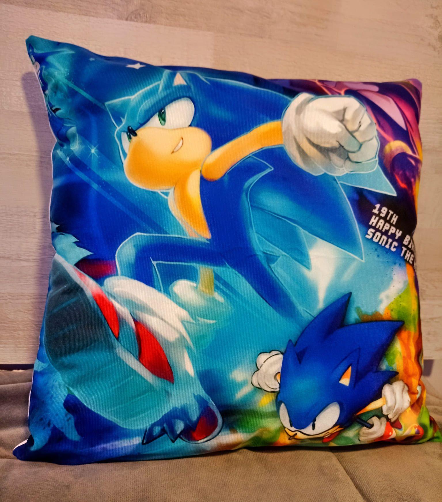 Cojín Felpa 45x45 cm Erizo Azul Extra Suave -2