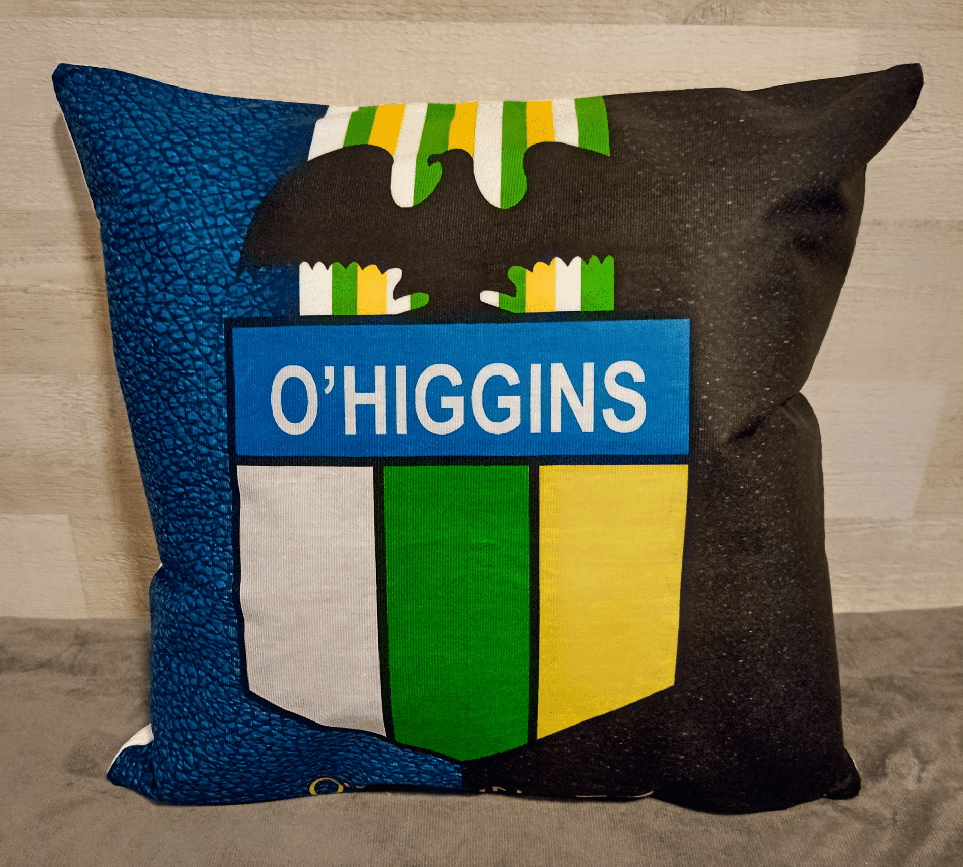 Cojín 45x45 cm De O'Higgins Extra Suave -2