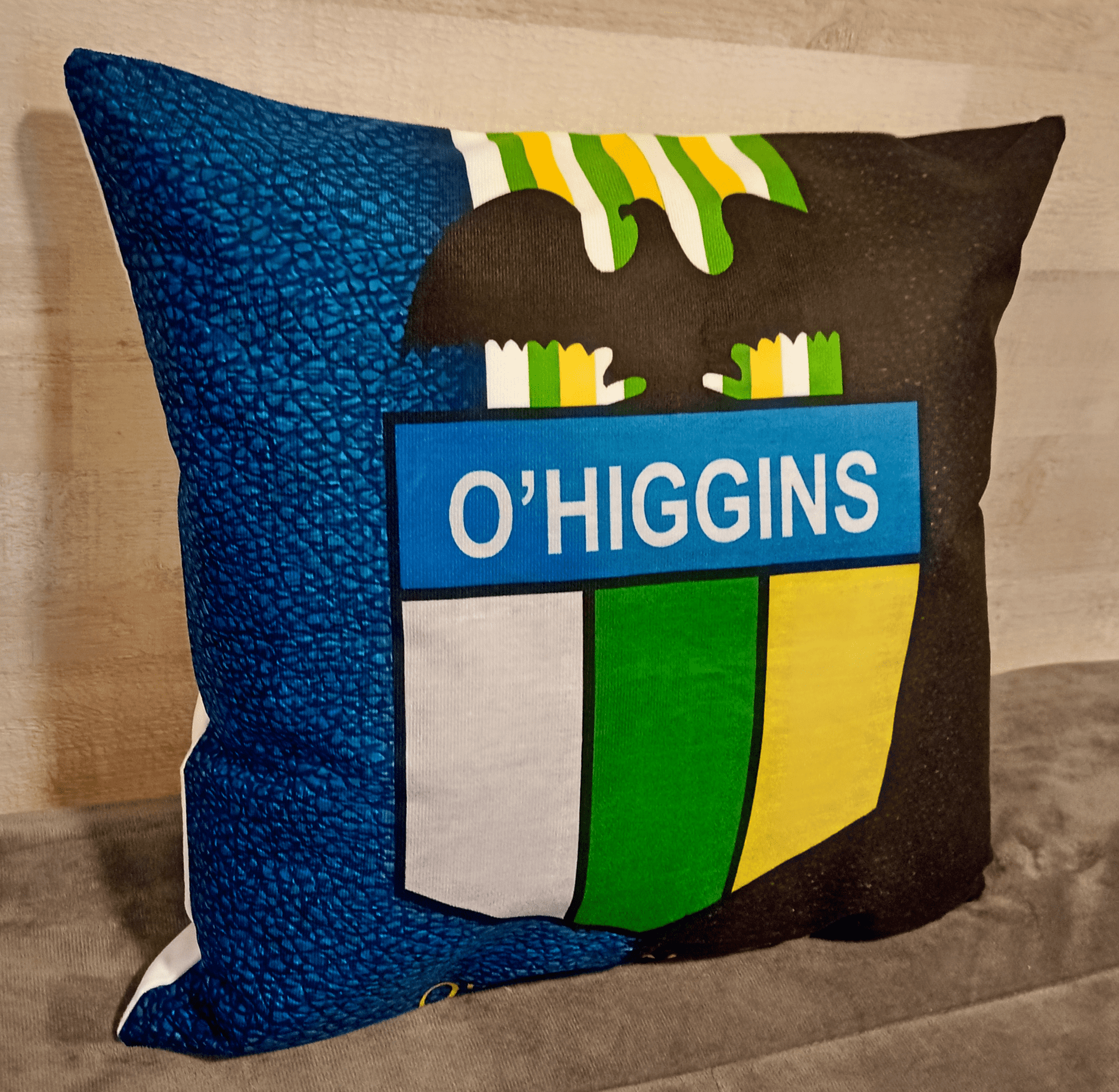 Cojín 45x45 cm De O'Higgins Extra Suave -3