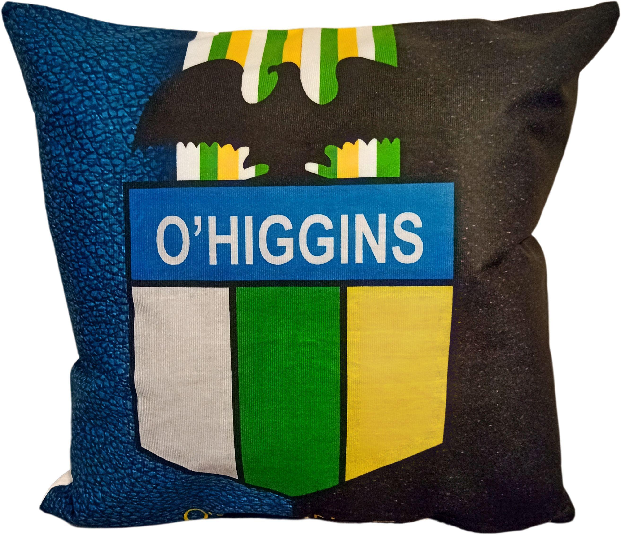 Cojín 45x45 cm De O'Higgins Extra Suave -0