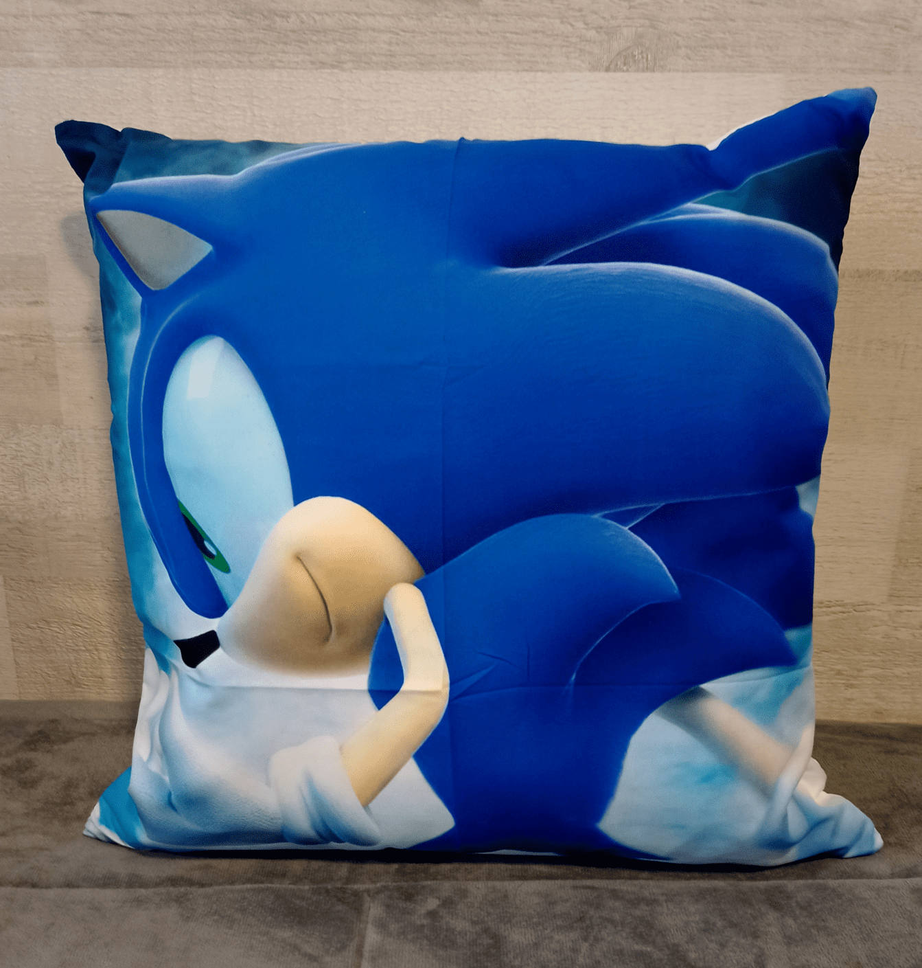 Cojín Felpa 45x45 cm De Erizo Azul  Extra Suave -3
