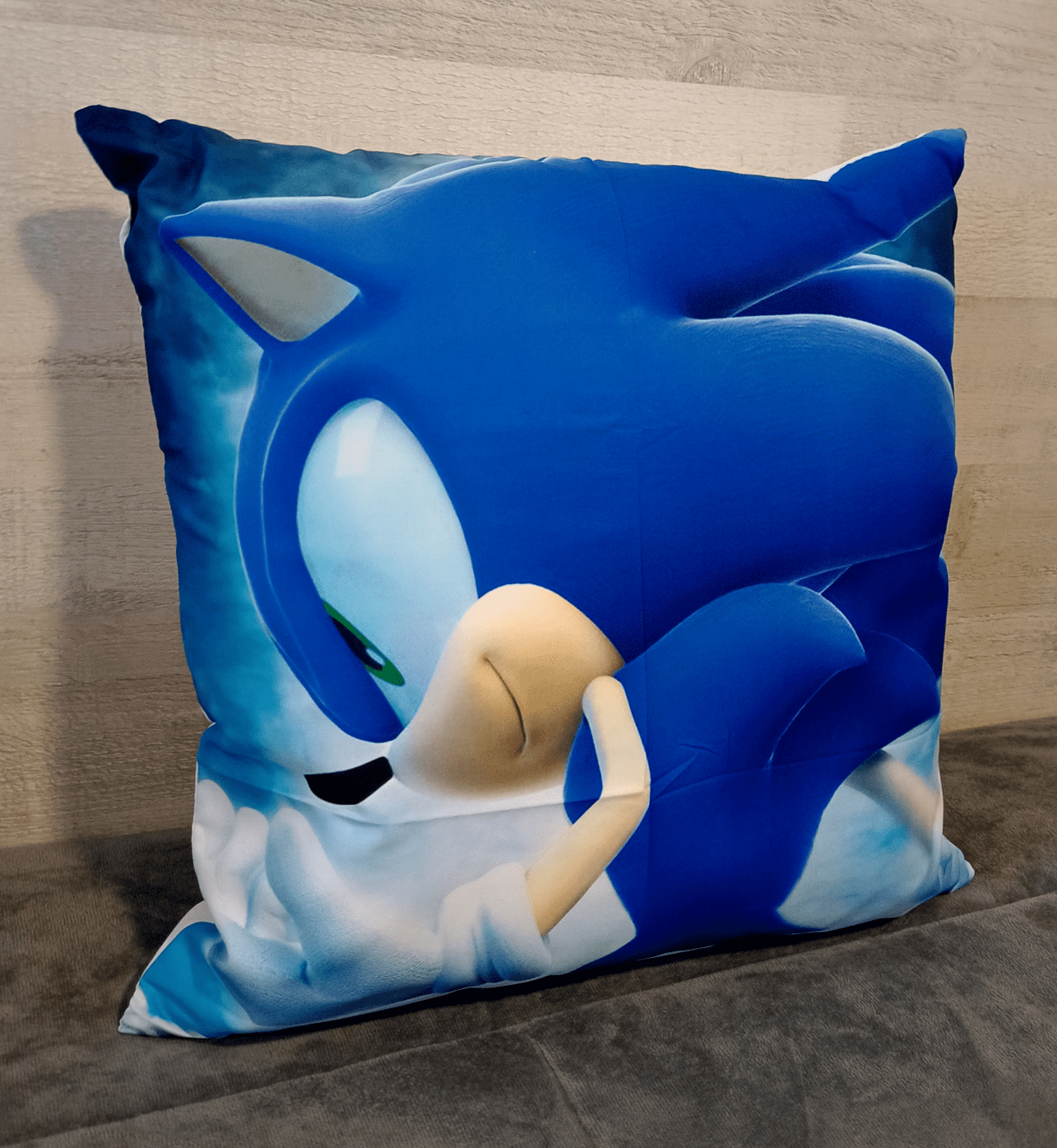 Cojín Felpa 45x45 cm De Erizo Azul  Extra Suave -2