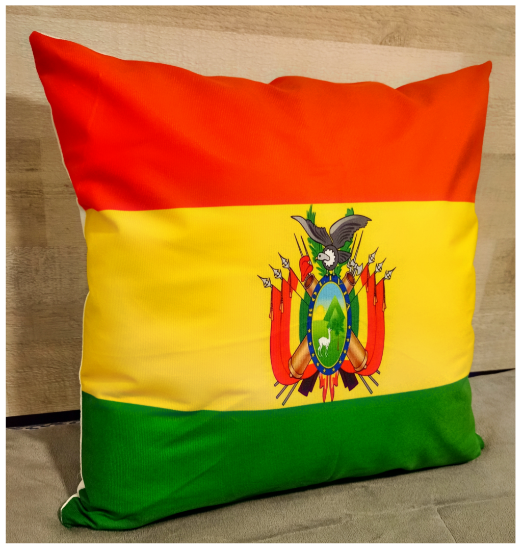 Cojín Felpa 45x45 cm De Bandera de Bolivia Extra Suave -2