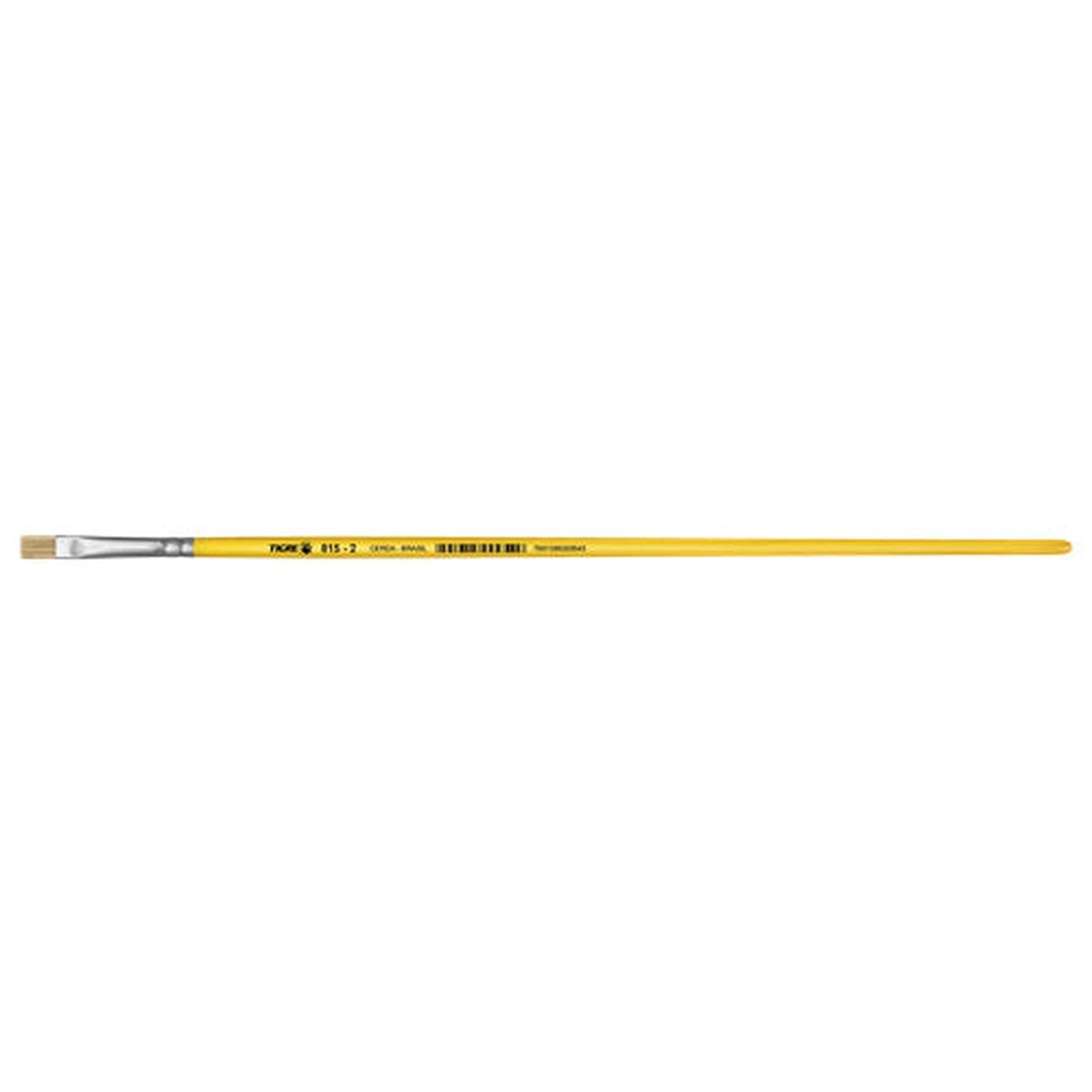PINCEL CERDA NATURAL CHATO N° 0-6