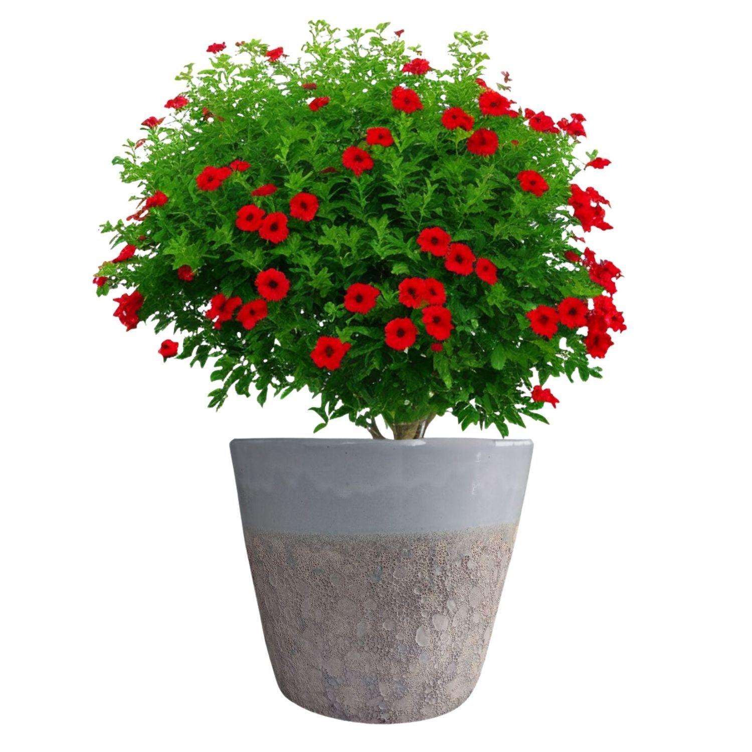 Maceta Seaside 28cm Cónica Blanco Tropea Deroma-1
