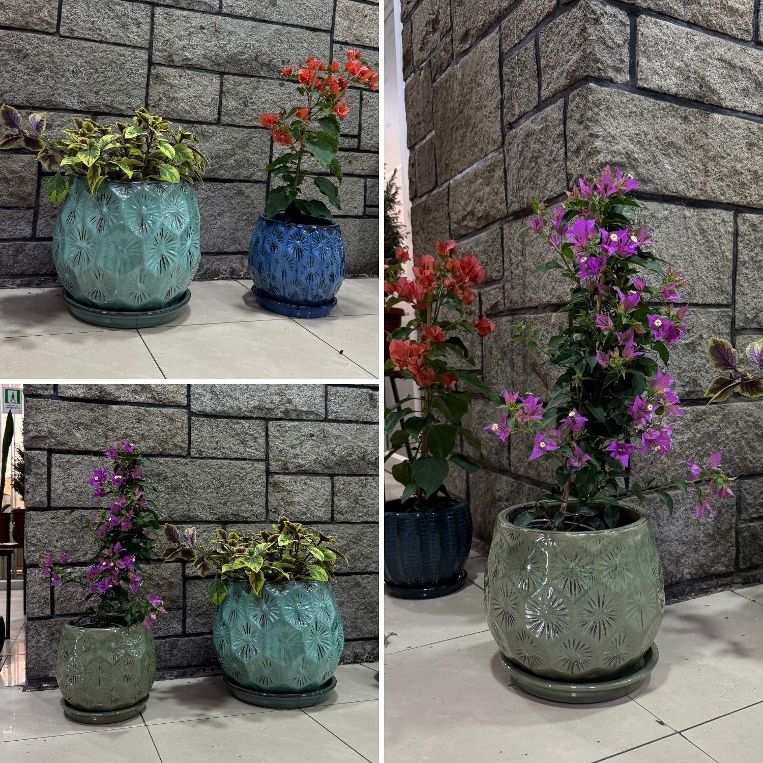 Maceta Patelle 18 Verde Musgo con plato-3