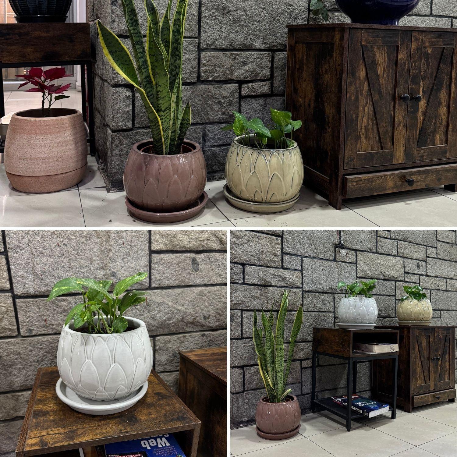 Maceta Victoria 18 Marfil con plato-2