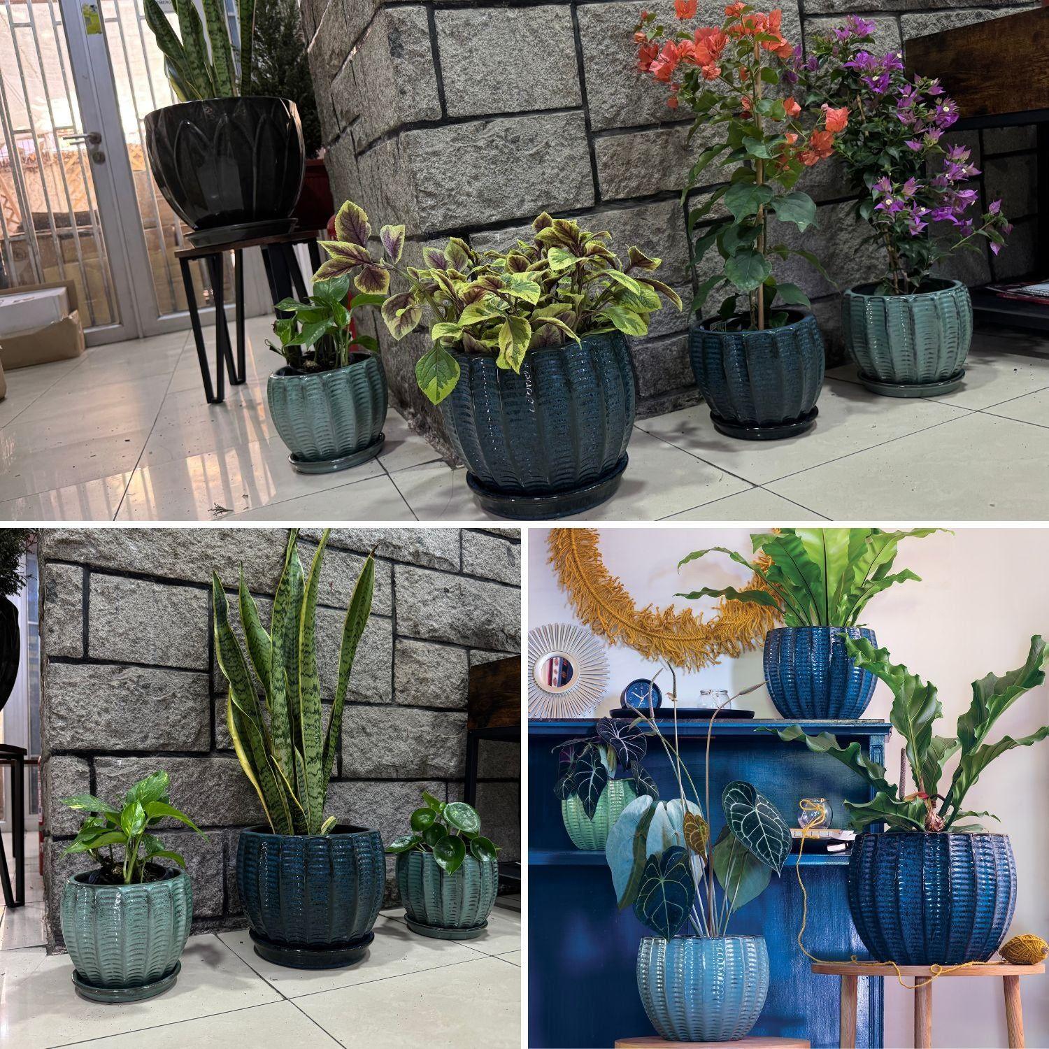 Maceta Hosse 27 Azul Capri con plato-3