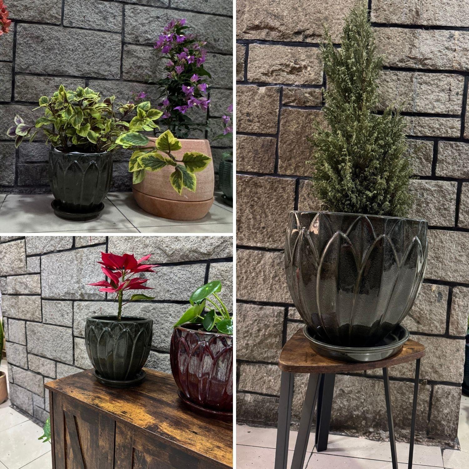 Maceta Forest 37 Verde Musgo con plato-2