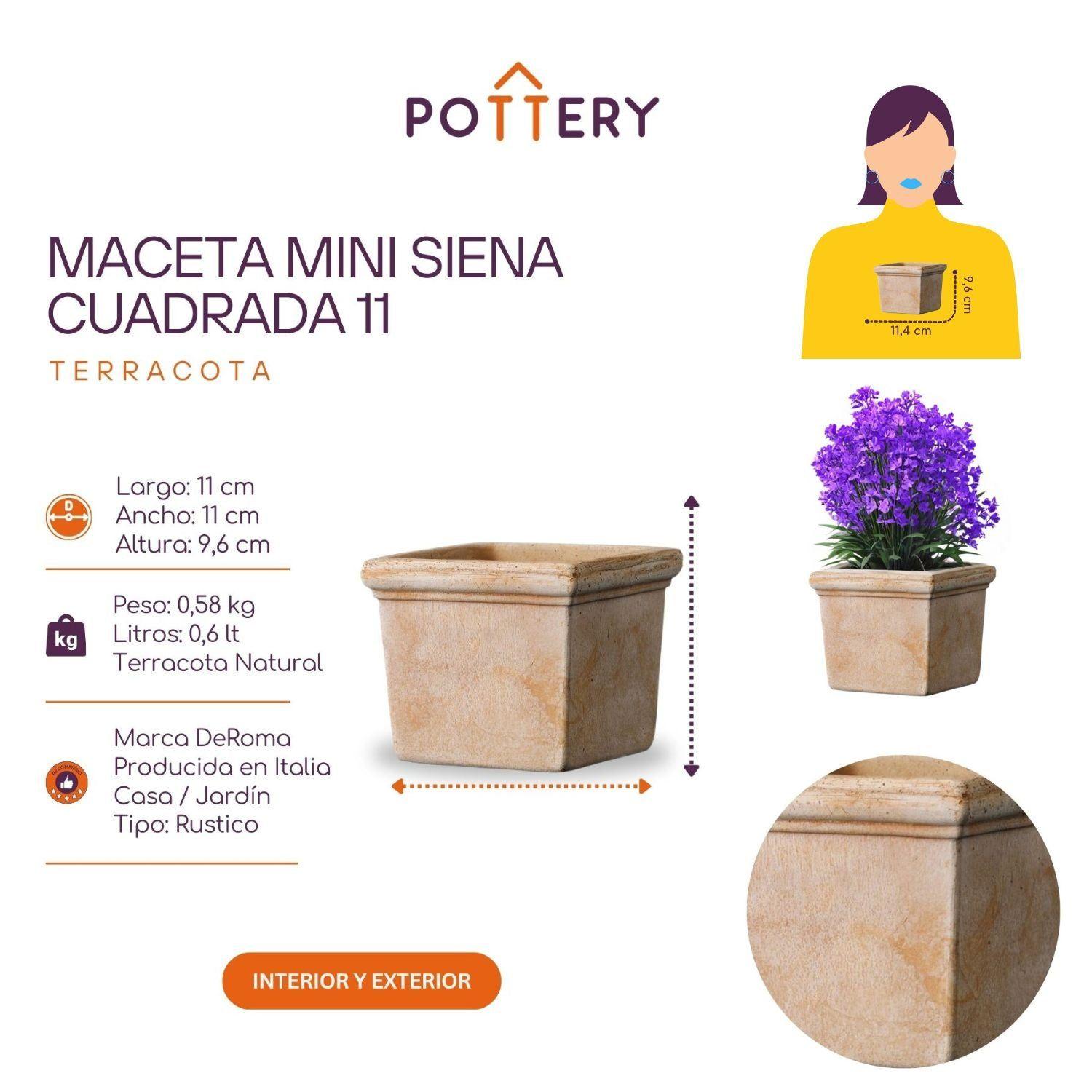 Mini Maceta 11cm Siena Cuadrada-3