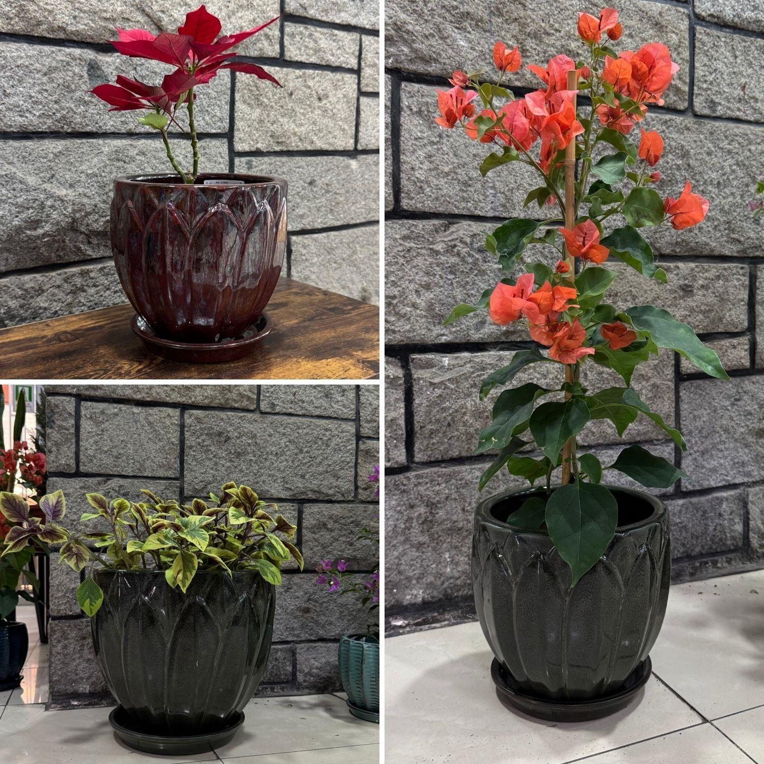 Maceta Forest 22 Verde Musgo con plato-3