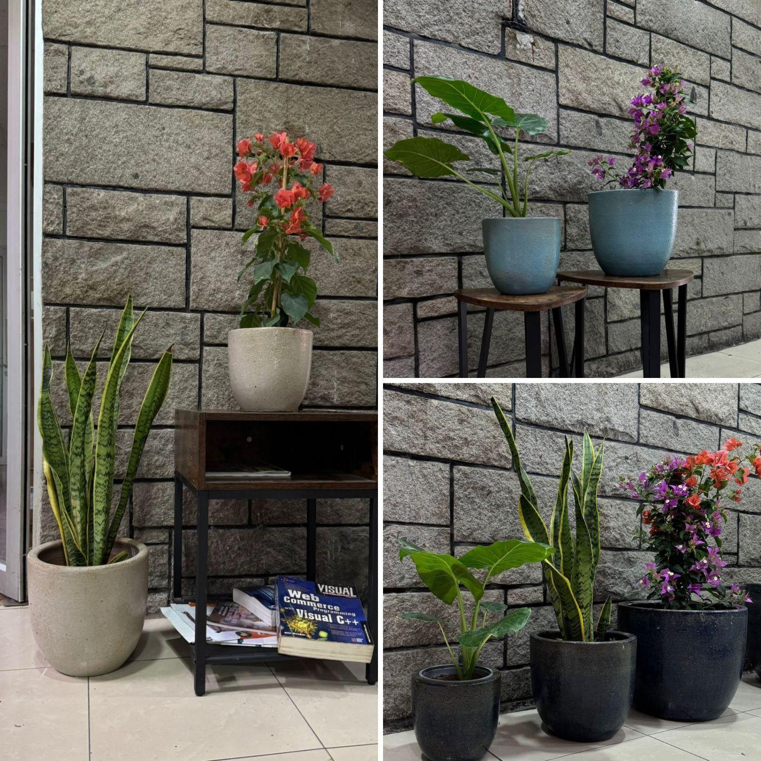 Maceta Cyclades 28 Blanco Itrio-4