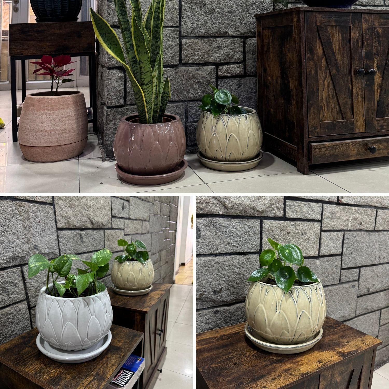 Maceta Victoria 26 Malva con plato-3