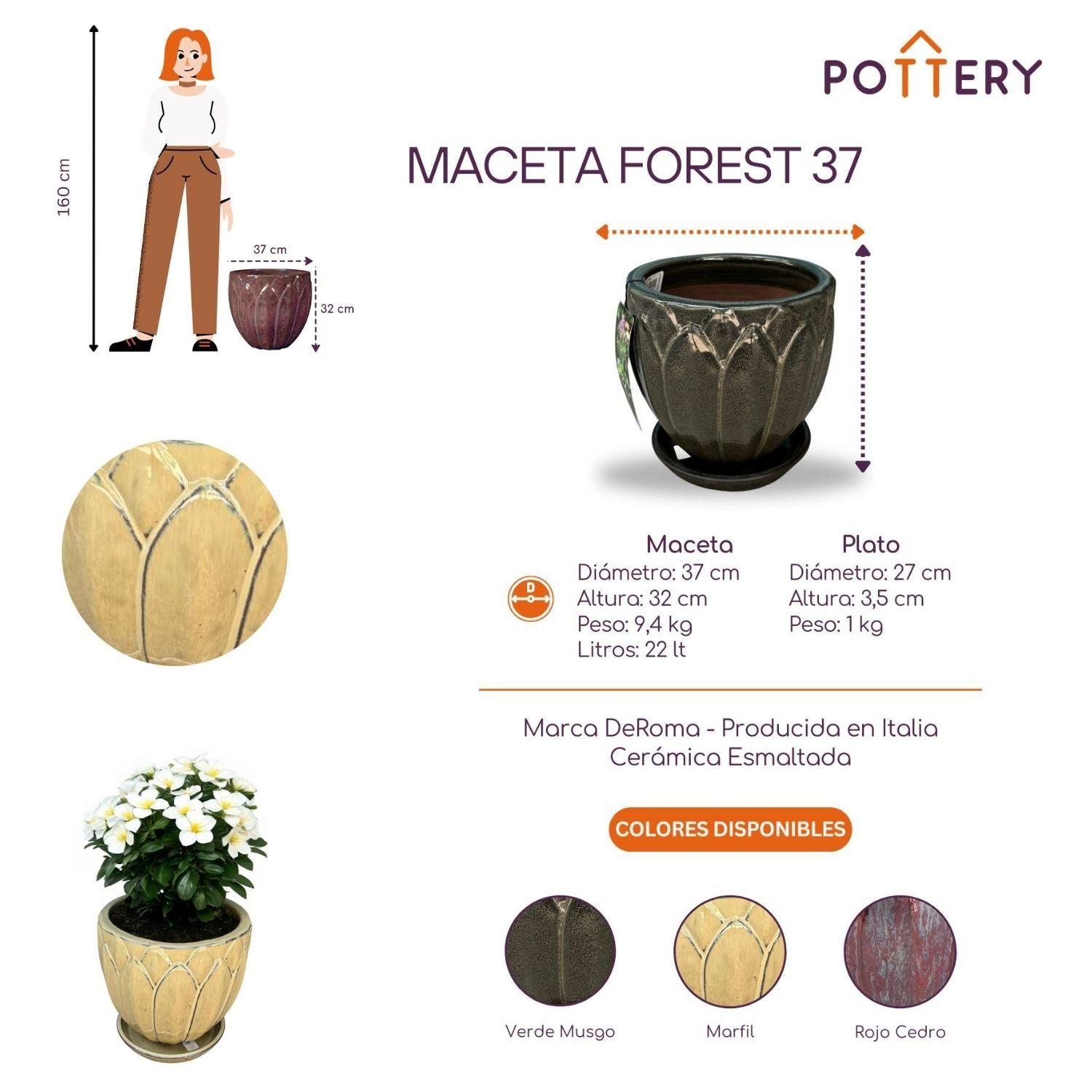 Maceta Forest 37 Marfil con plato-2