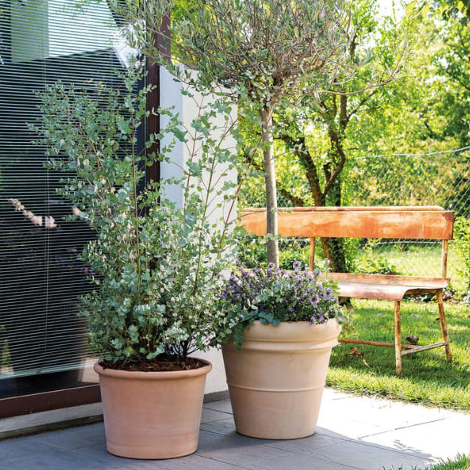 Maceta Extra Grande Toscana 52cm Terracota-2