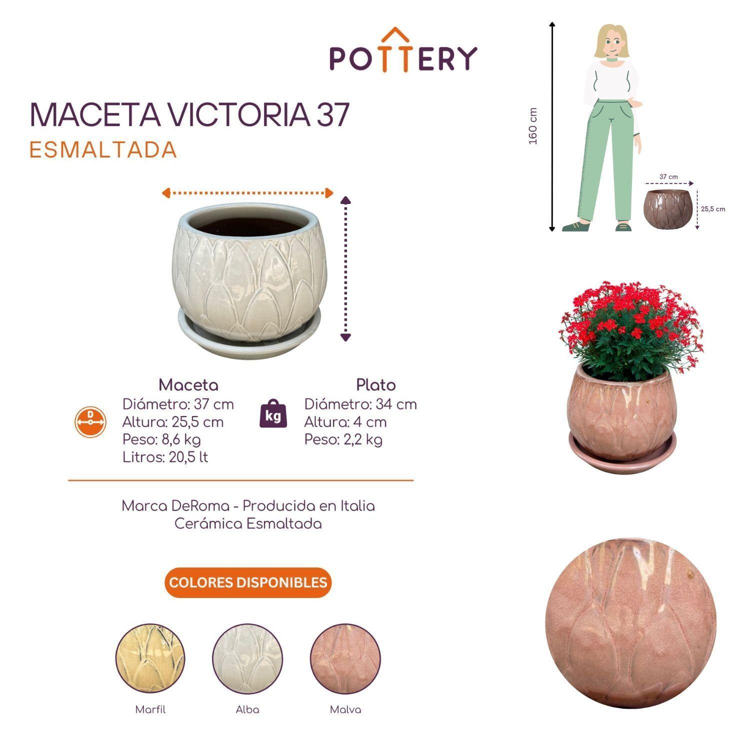 Maceta Victoria 37 Malva con plato-2