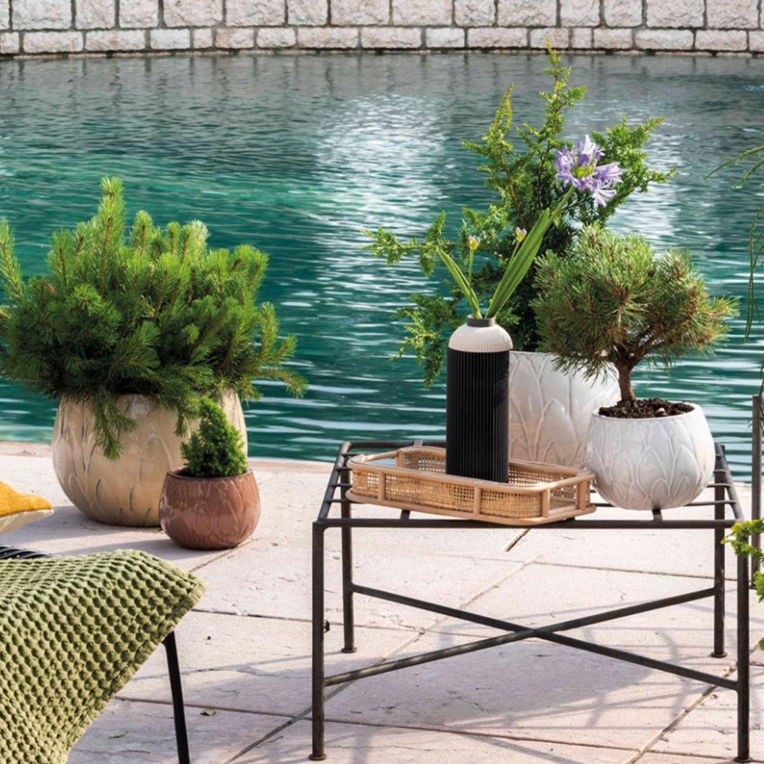 Maceta Victoria 37 Malva con plato-3